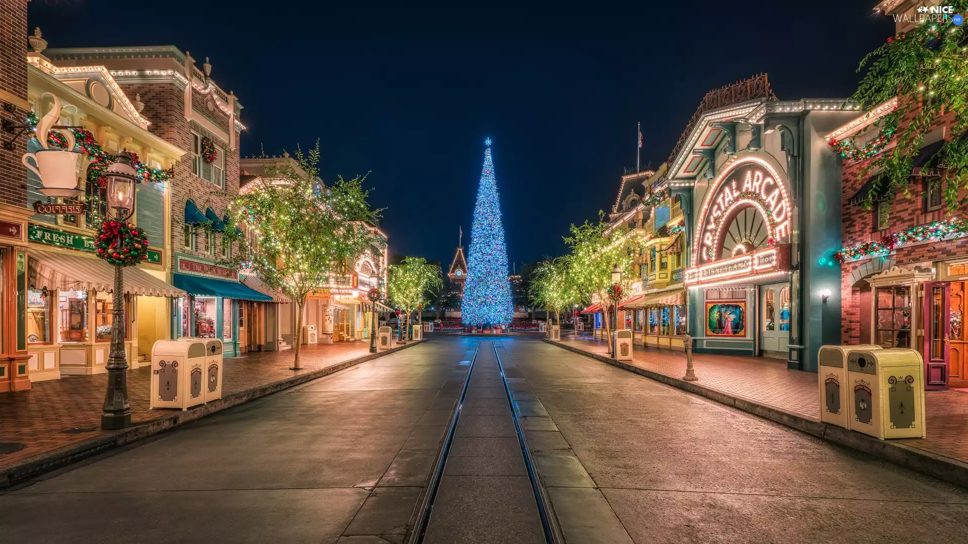 Houses, christmas tree, Christmas, Street