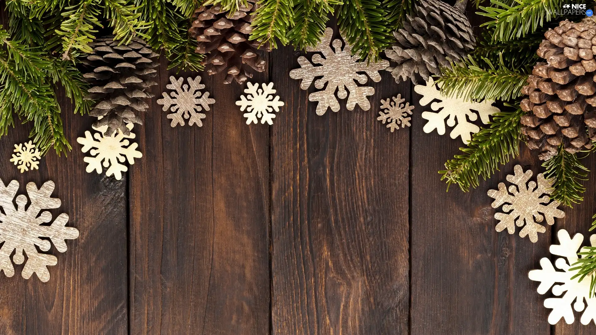 Snow White, Twigs, Christmas, composition, boarding, cones