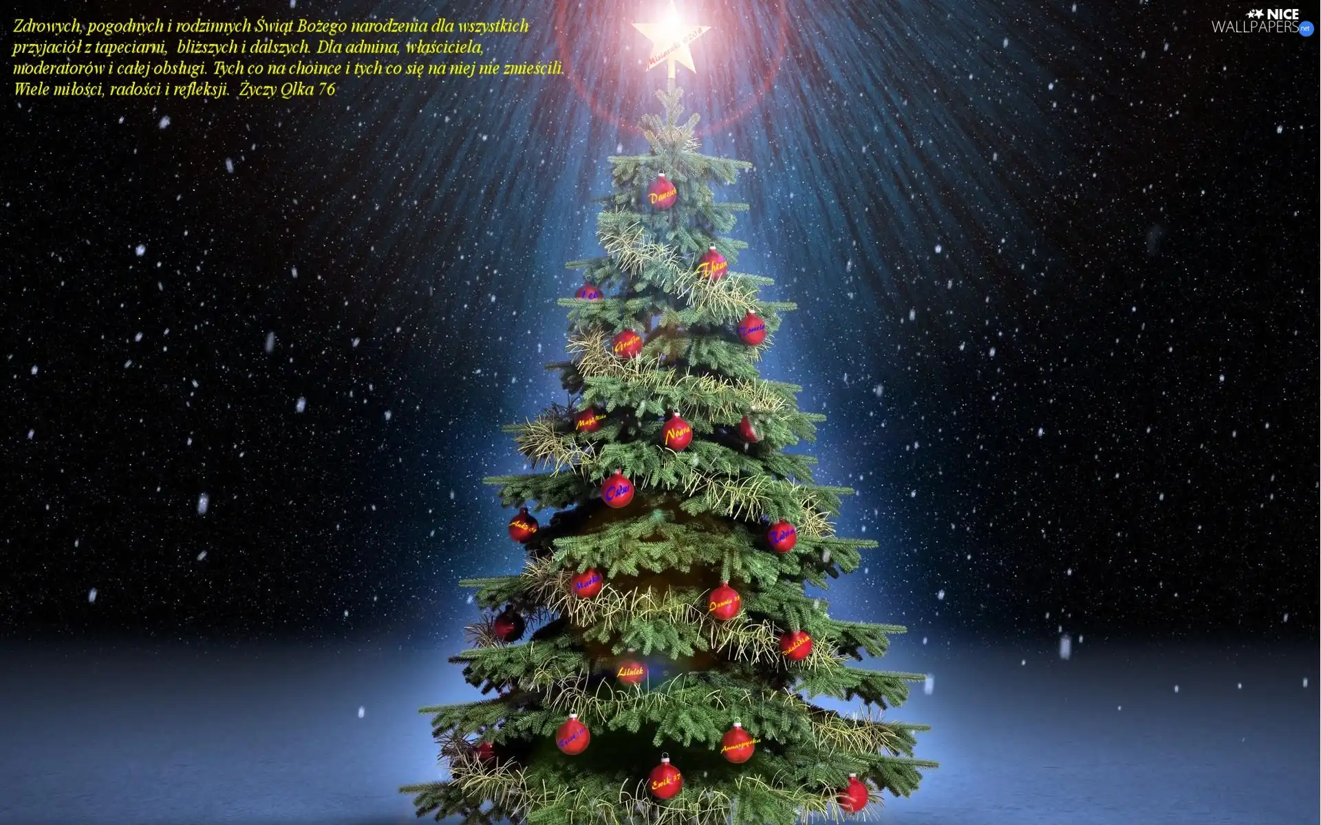 Christmas, christmas tree, users, Tapeciarni, for, Wishes