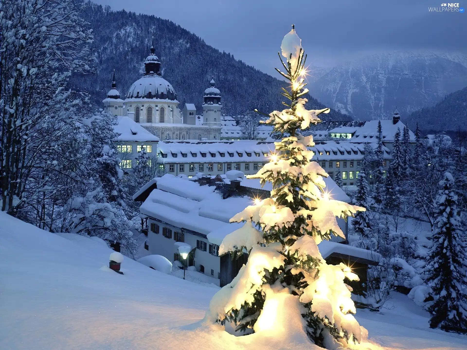 winter, illuminated, christmas tree, Town
