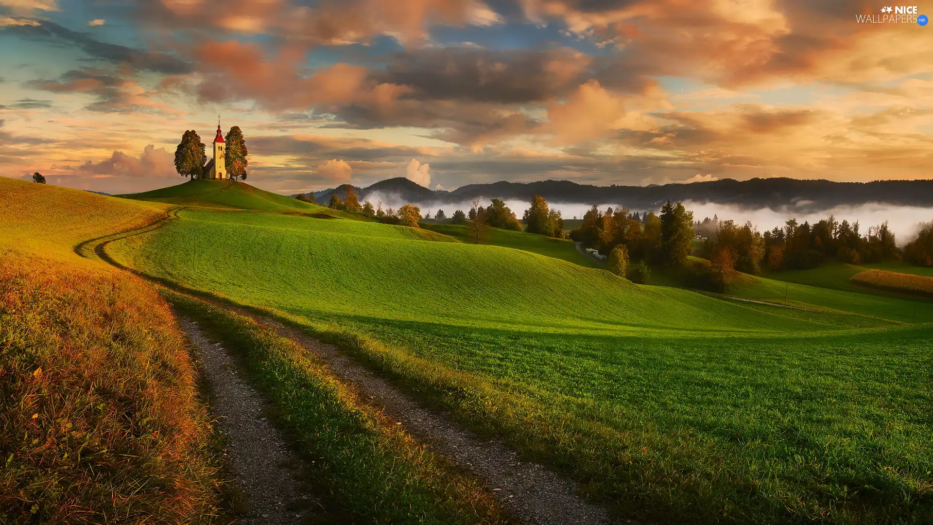 trees, viewes, Slovenia, Fog, Spring, Way, field, Church