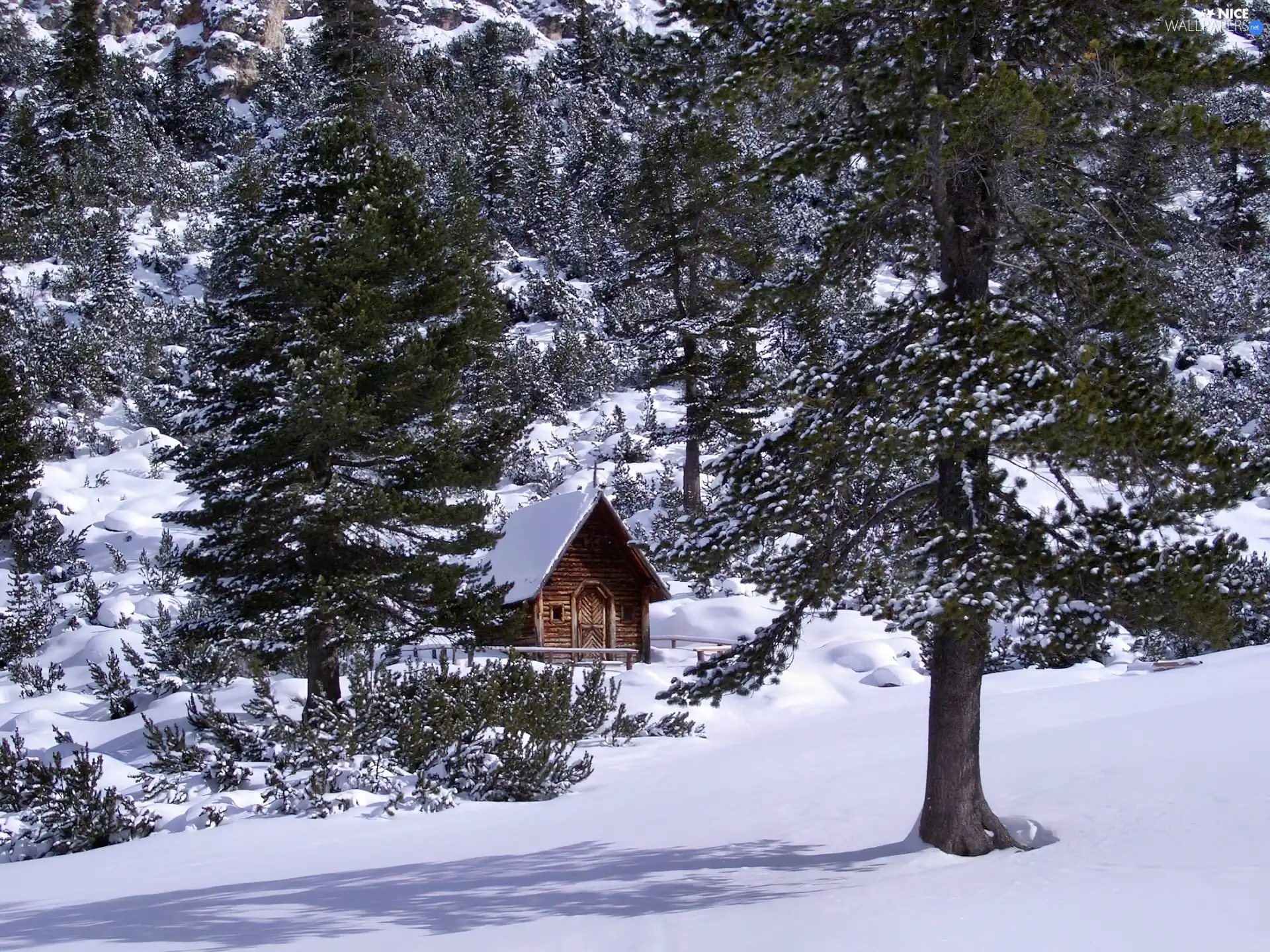 winter, wooden, church, forest