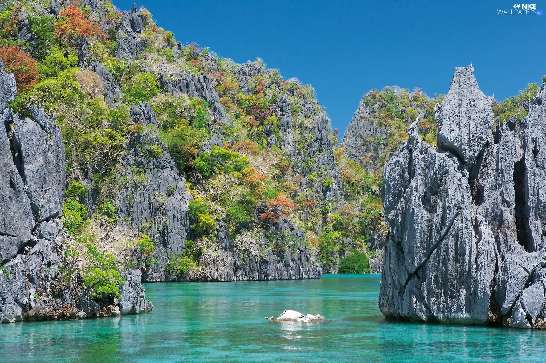 cliff, lake, rocks