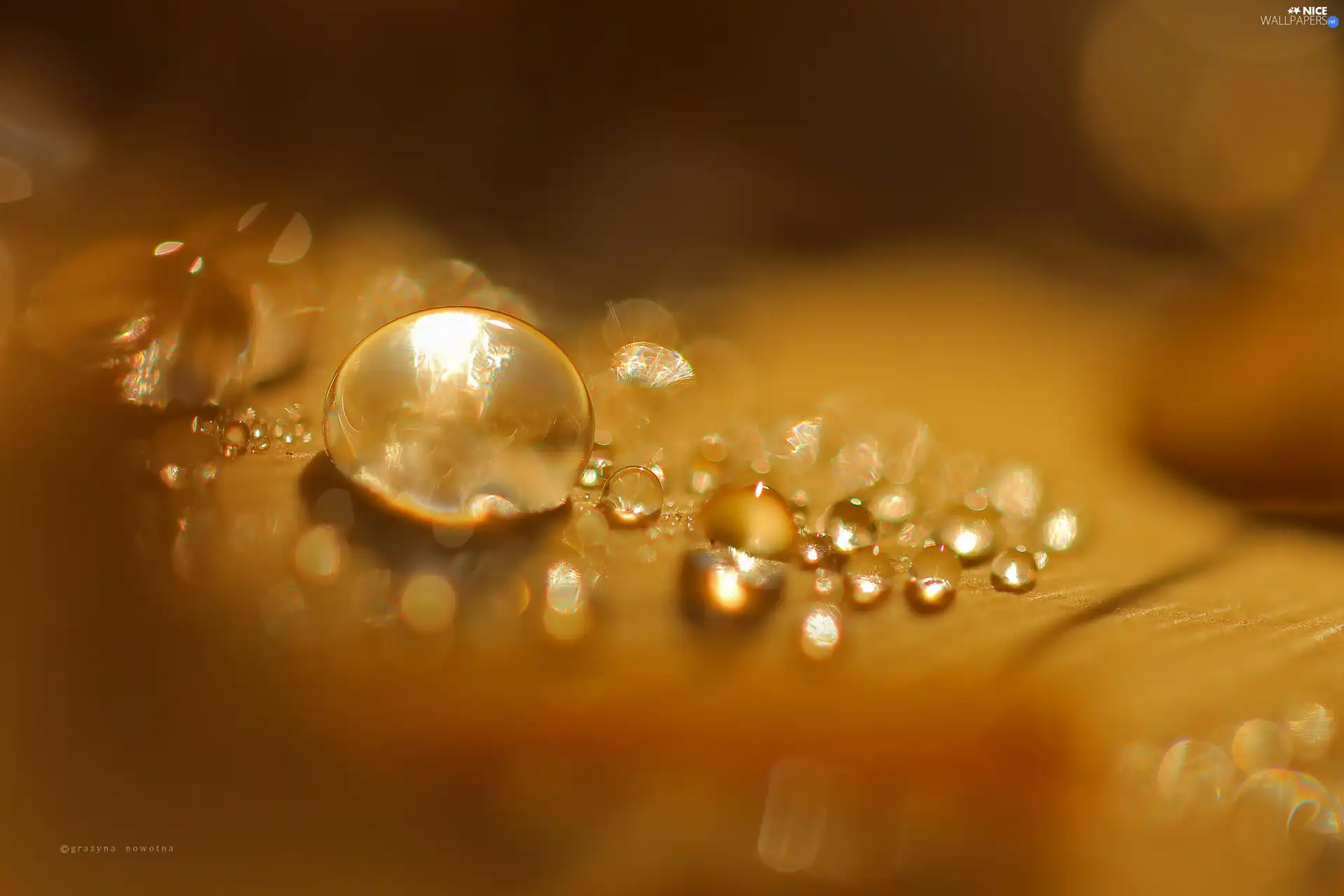 Close, drops, dew