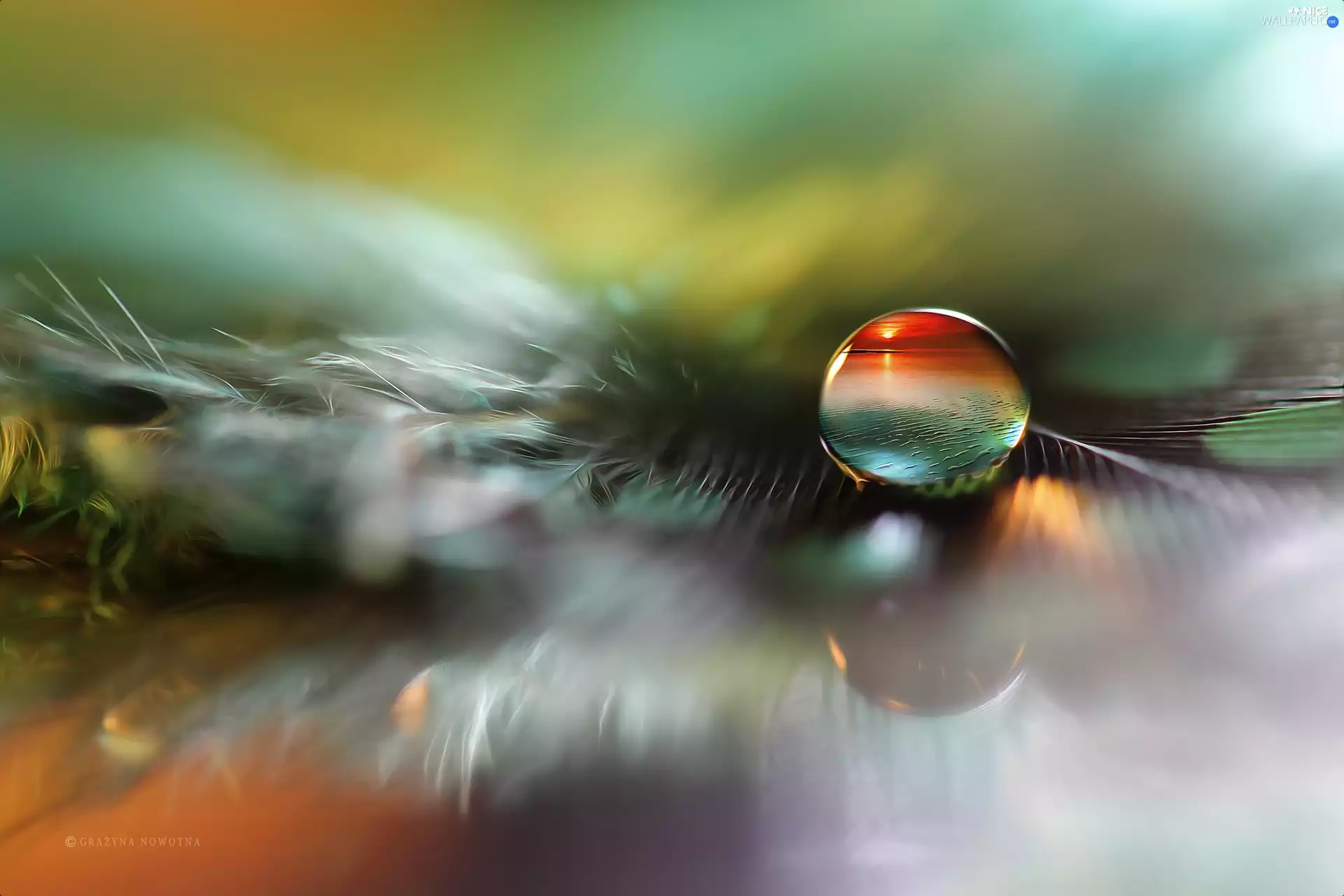 Close, drop, feather