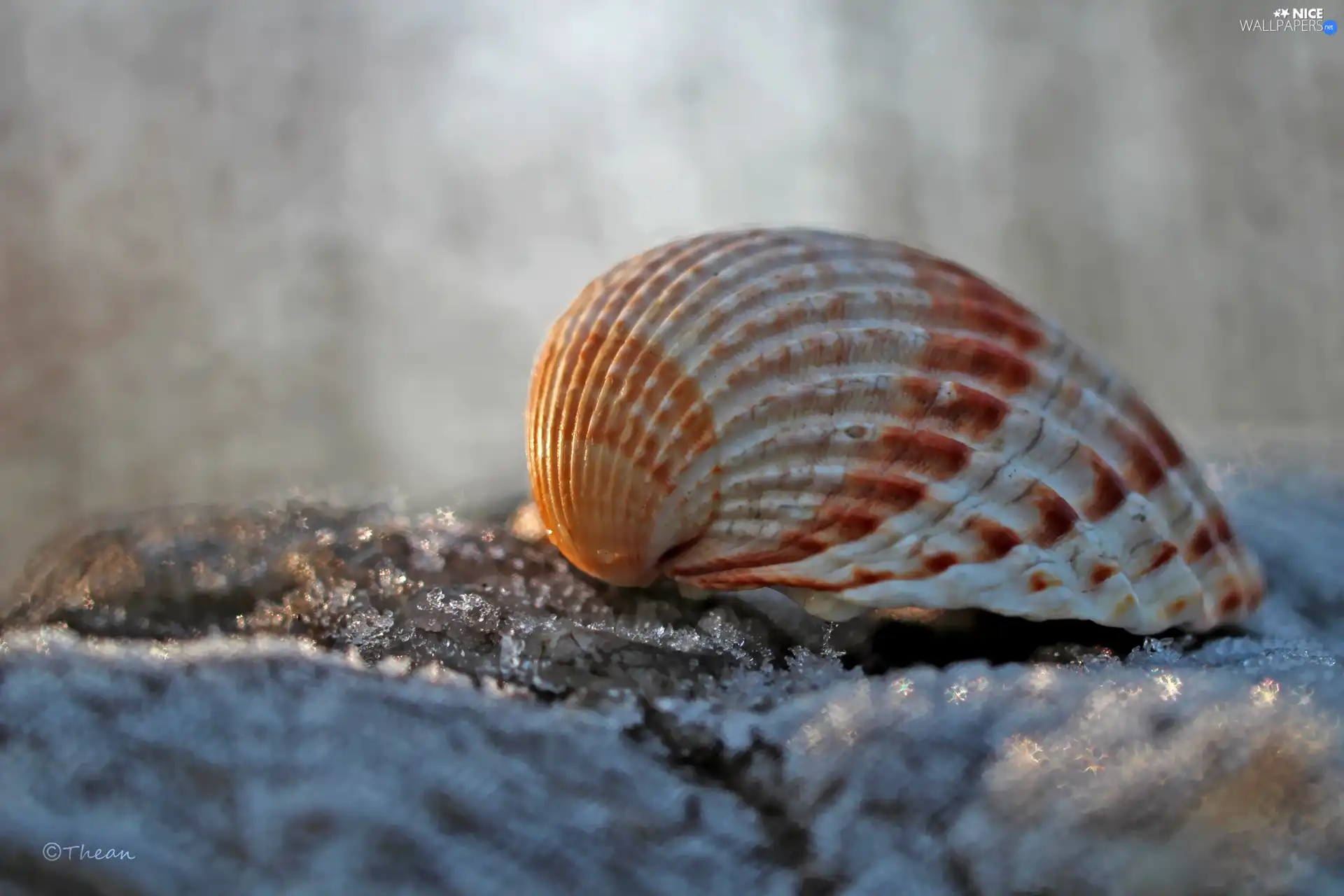 shell, Close