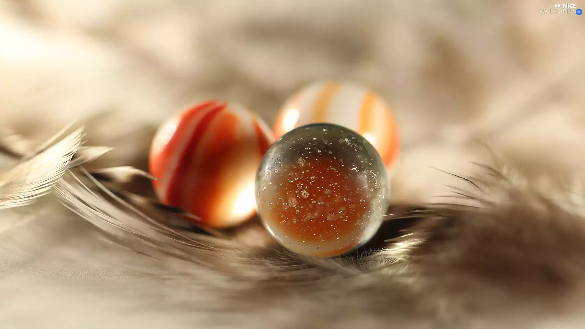 Orbs, glass, pen, Close, Dunie, Three