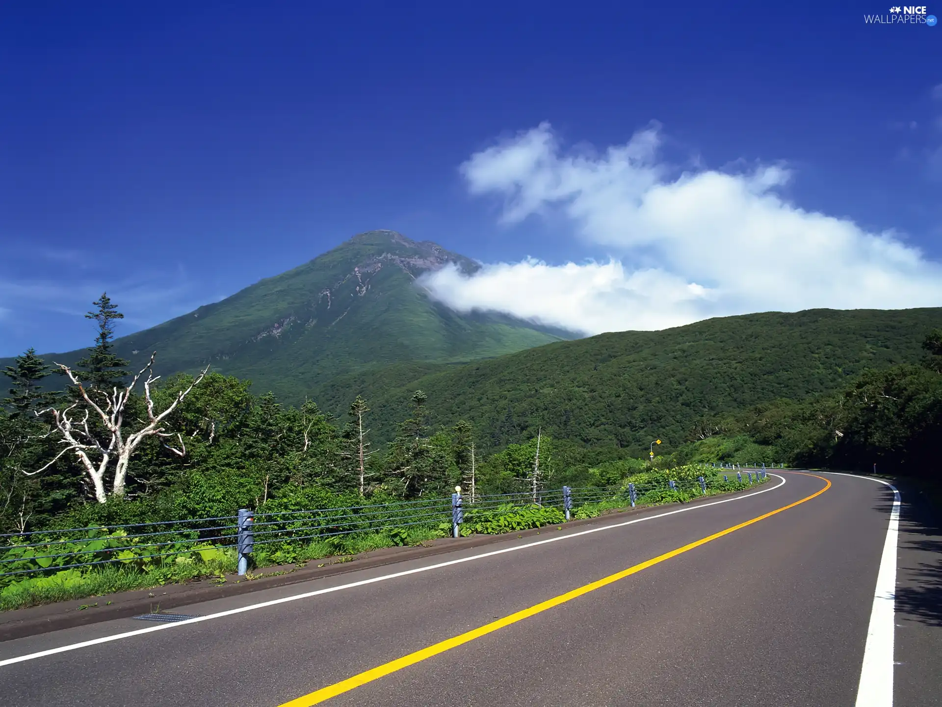 Way, mountains, Cloud, forest