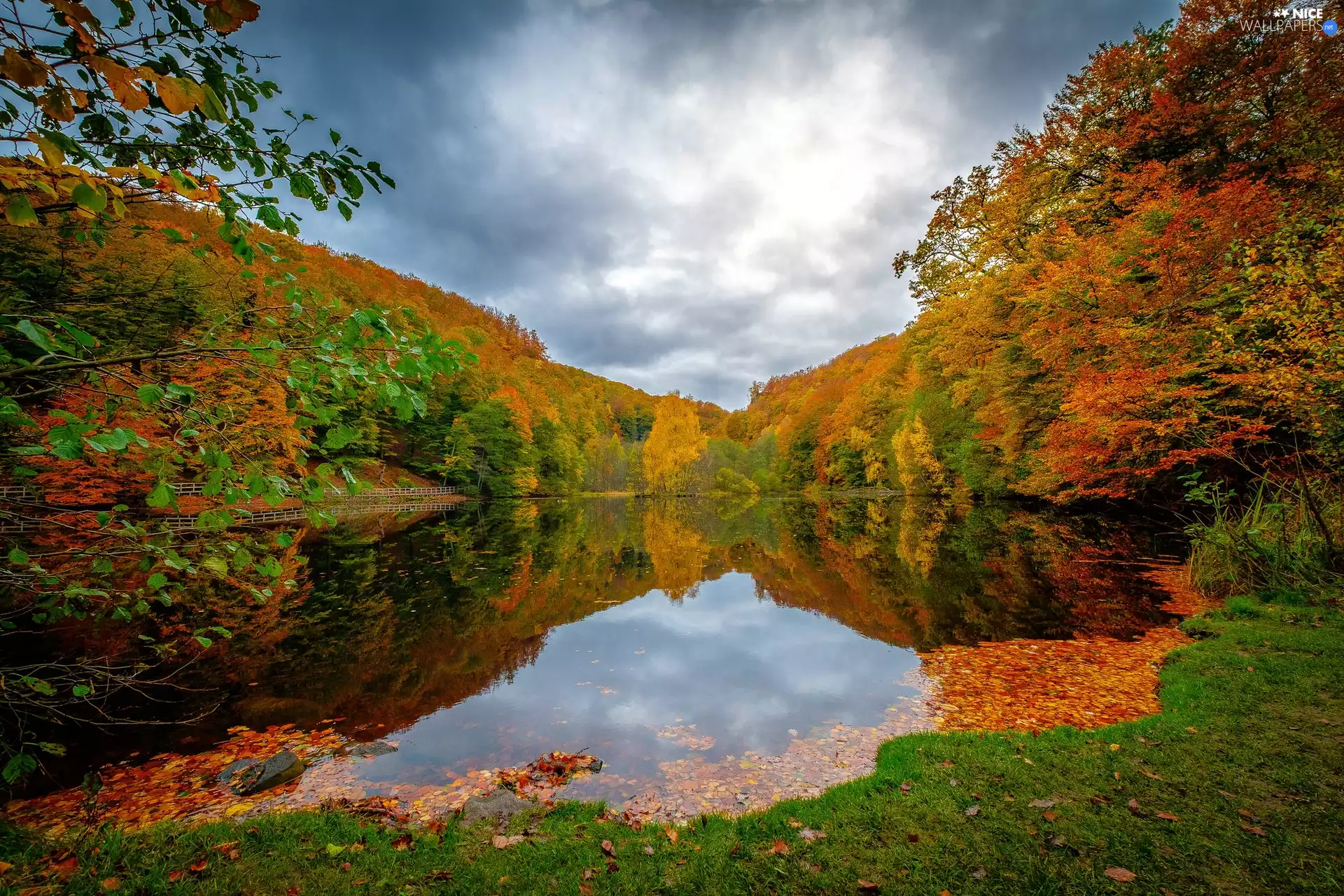 trees, lake, Leaf, clouds, viewes, autumn