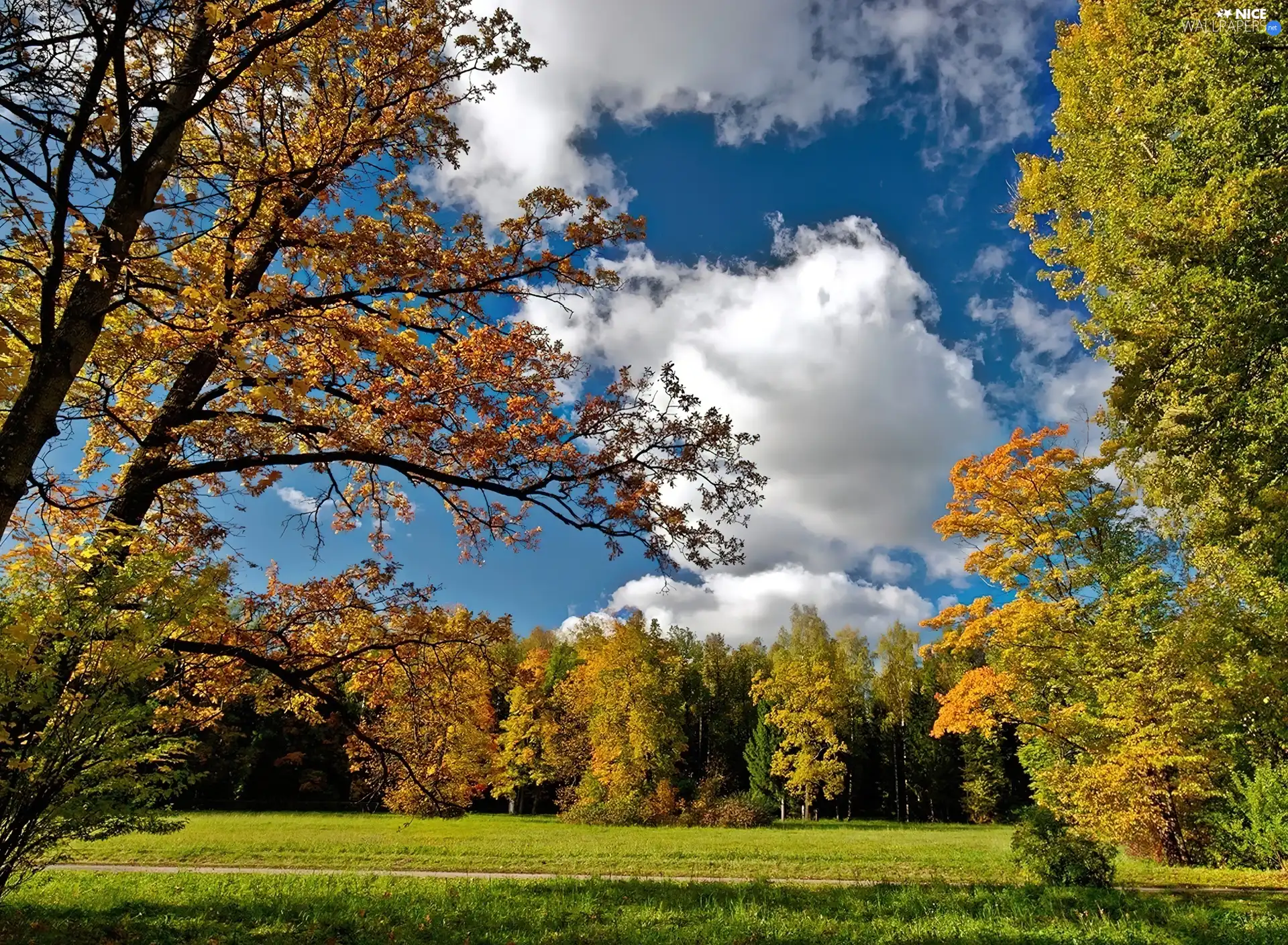 autumn, viewes, clouds, trees