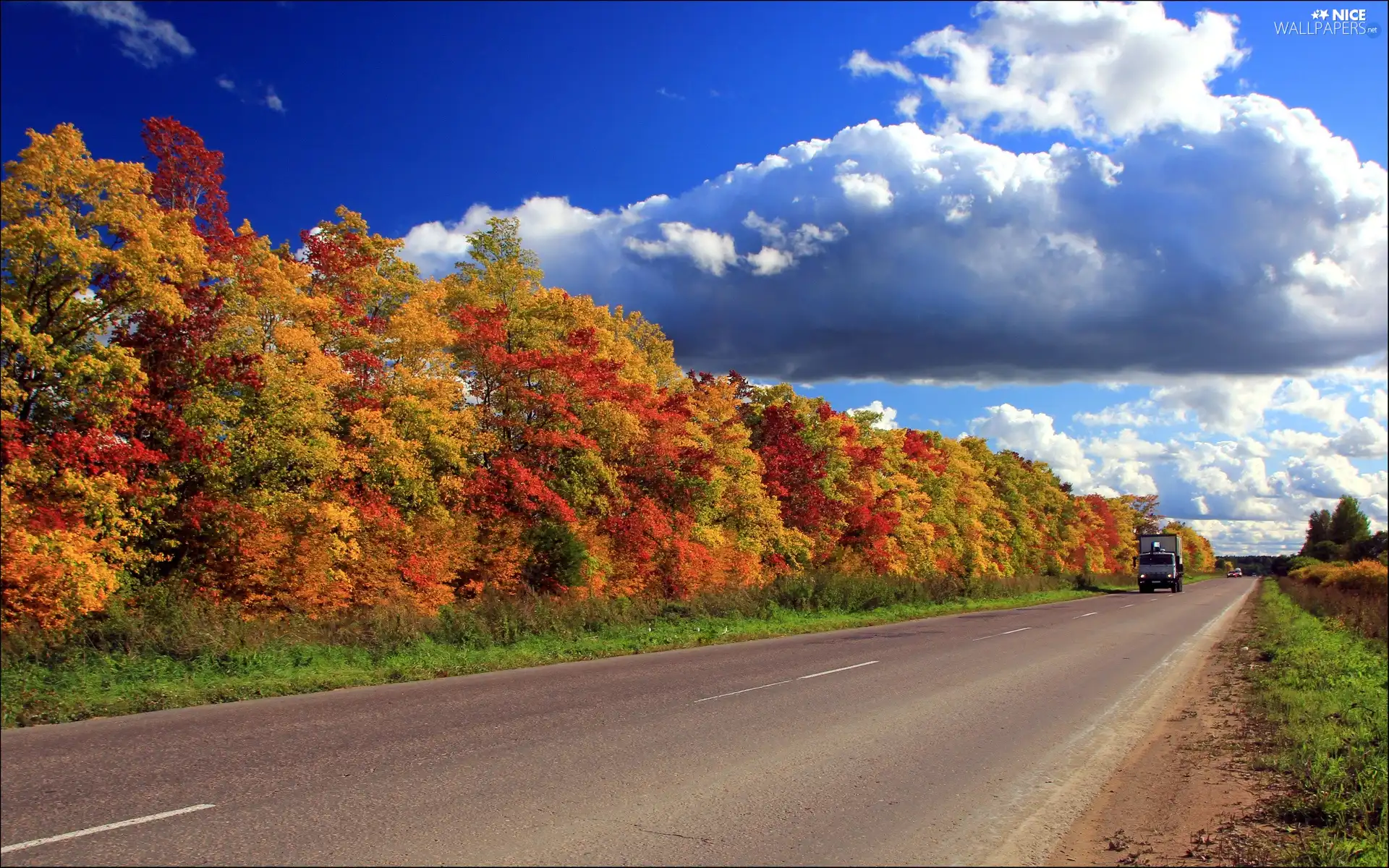 clouds, autumn, trees, viewes, Way