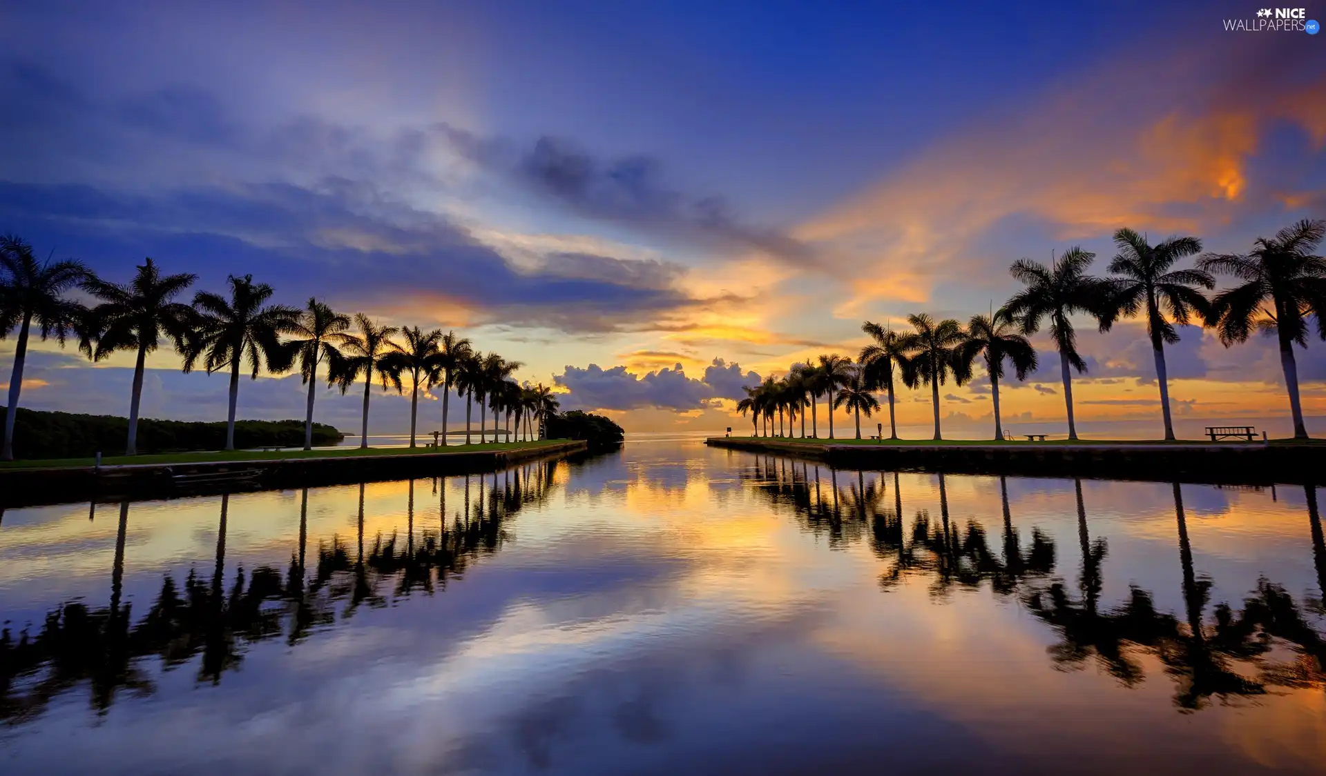 Palms, sea, Sunrise, clouds, bench, Avenues