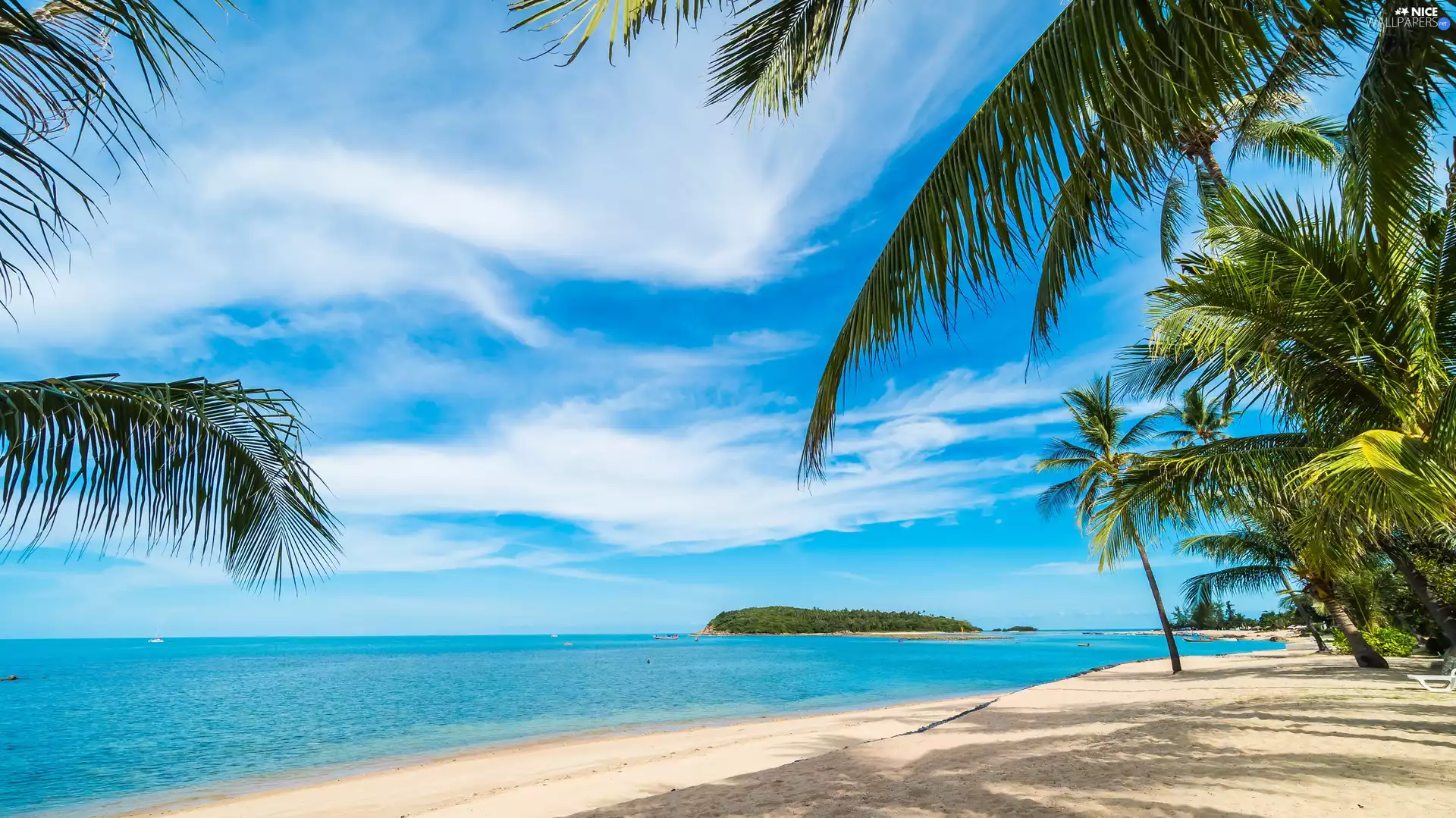 Palms, clouds, Beaches, Leaf, sea