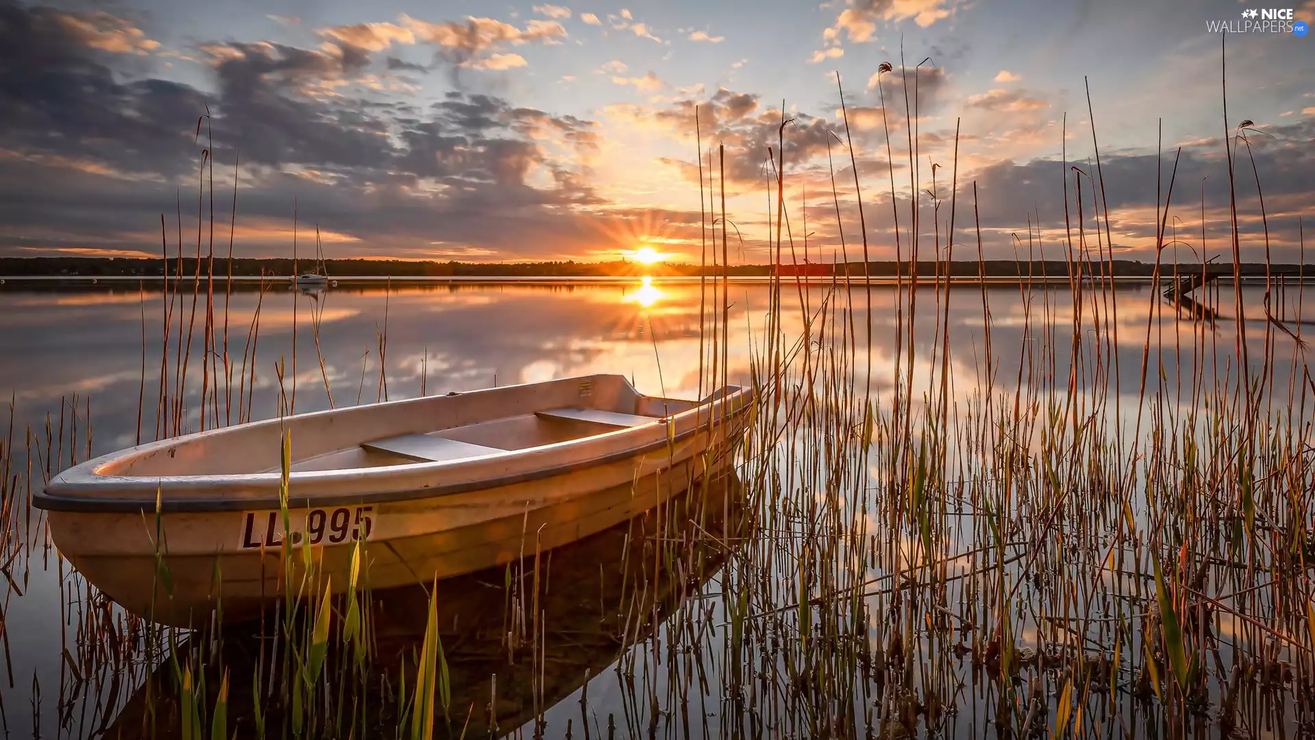 Sunrise, clouds, Boat, rushes, lake