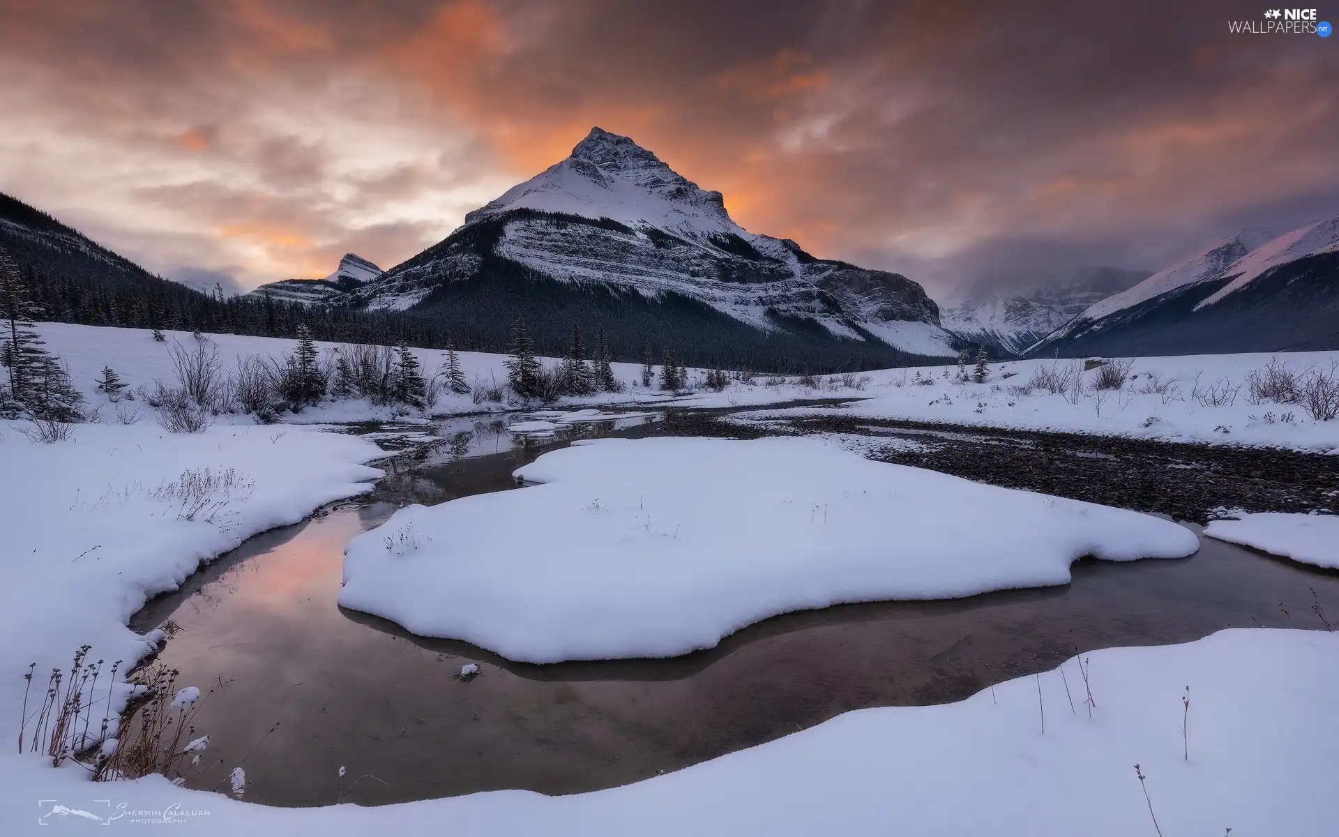 River, trees, Canada, viewes, Alberta, Mountains, winter, clouds