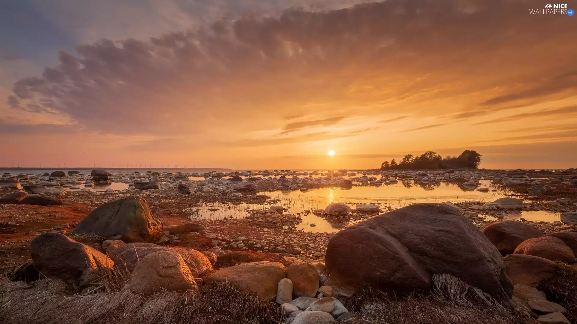 Great Sunsets, coast, viewes, Stones, sea, trees, clouds