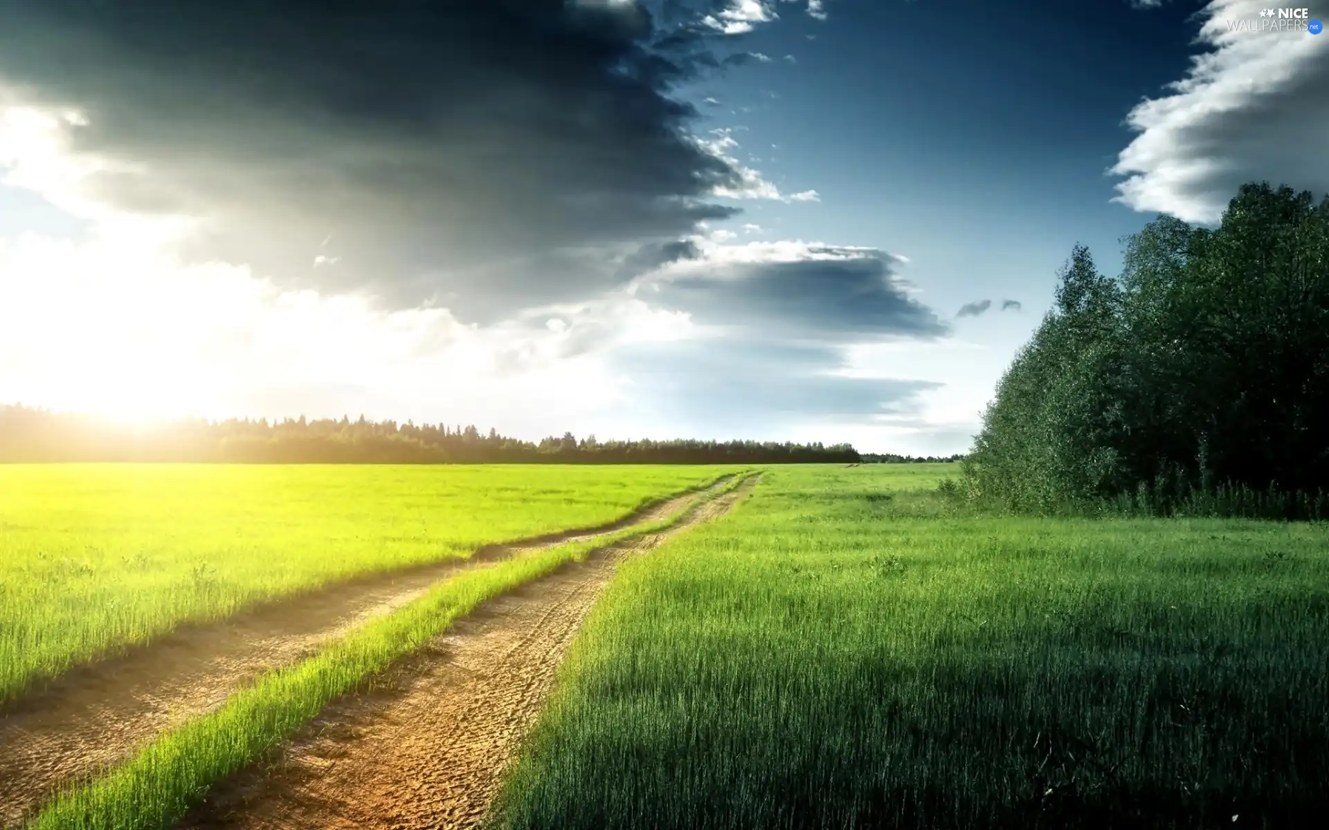 field, Way, clouds, woods