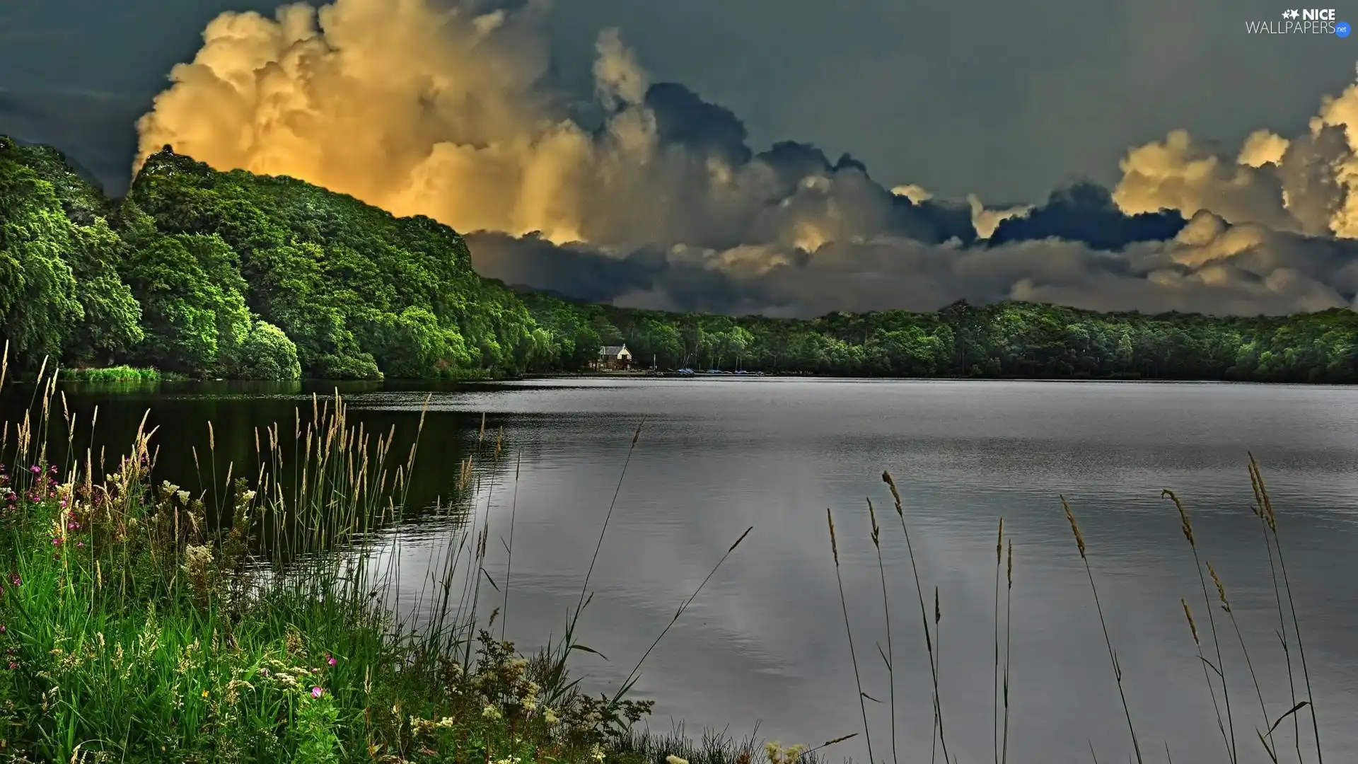 clouds, lake, forest