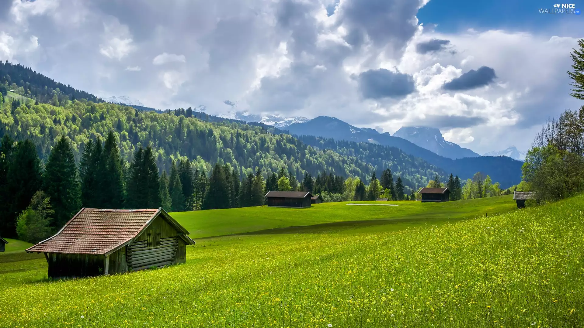 Meadow, clouds, forest, Houses, Mountains