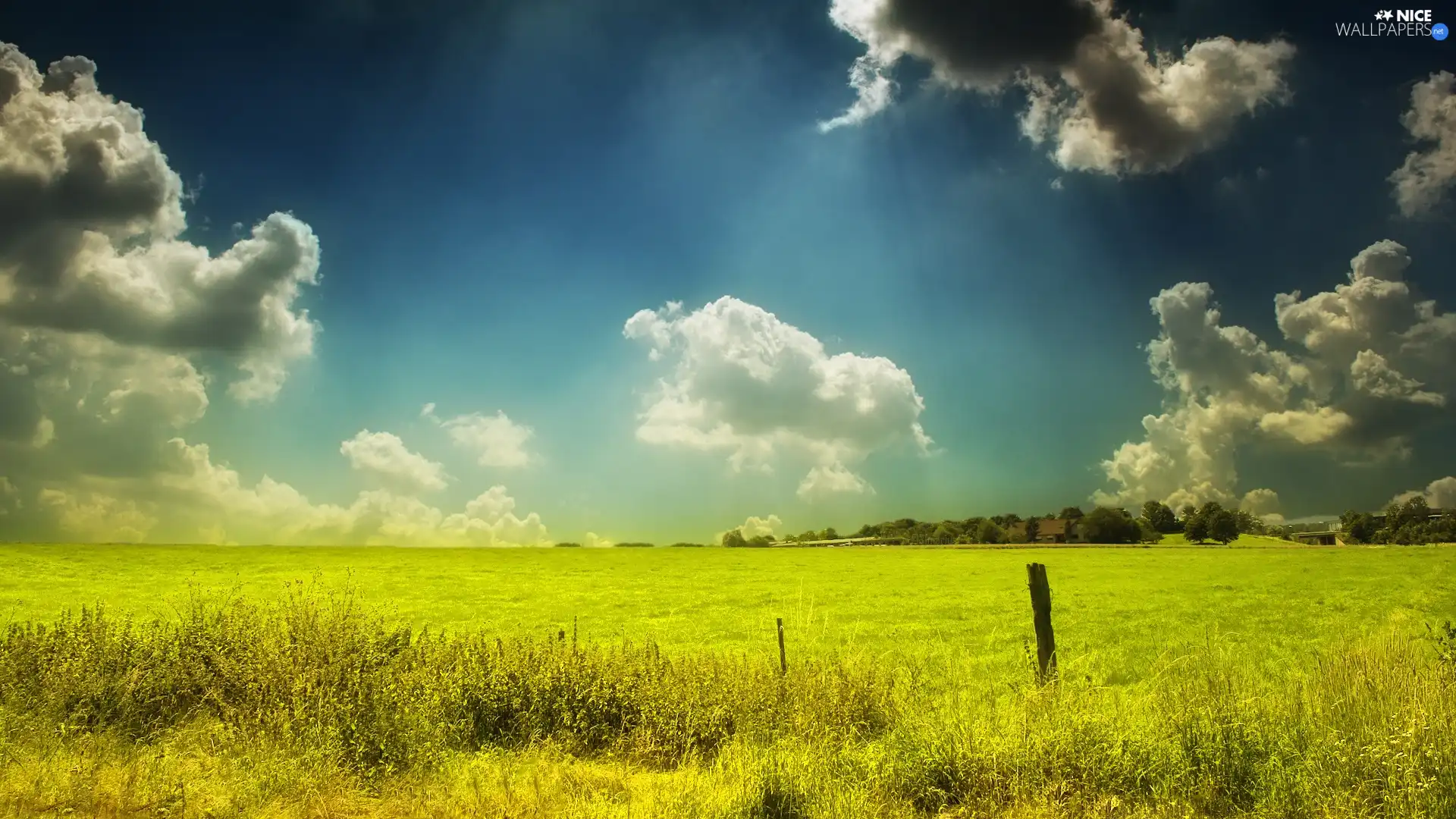 clouds, Field, grass