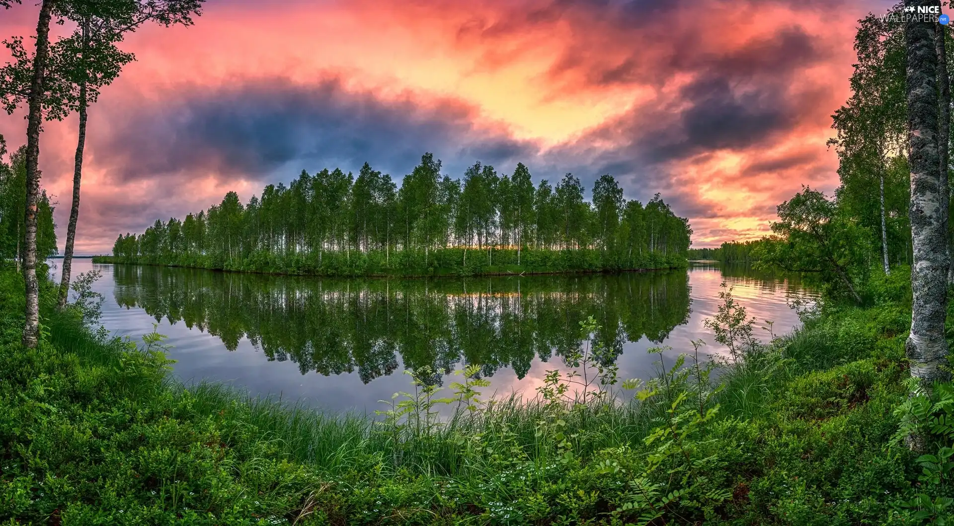 birch, trees, Great Sunsets, viewes, River, VEGETATION, clouds