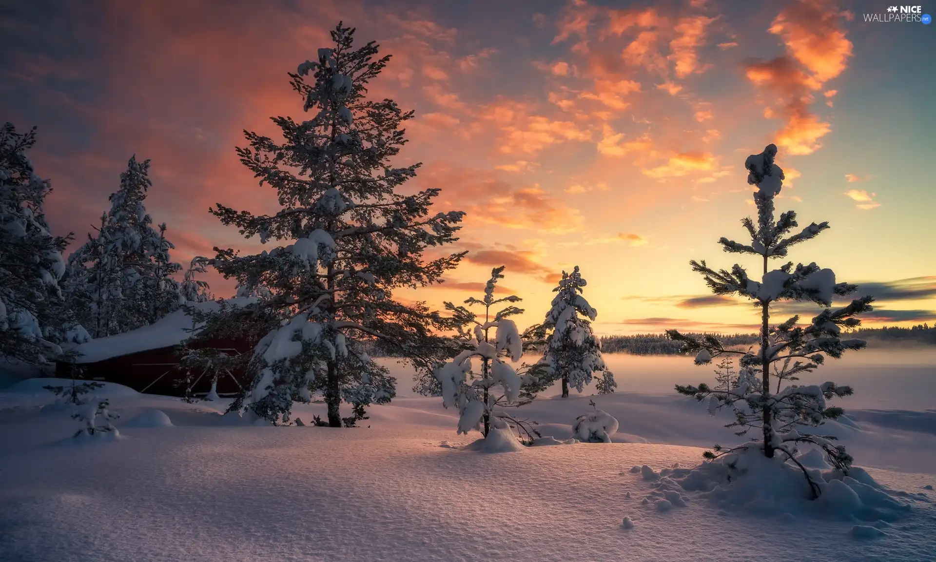 trees, winter, Sunrise, clouds, viewes, house