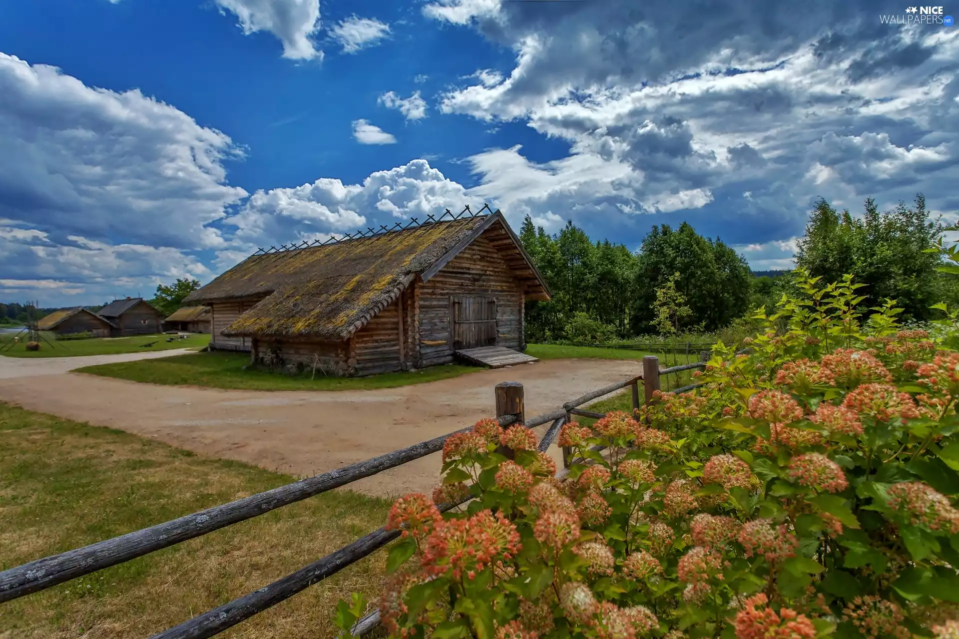 hydrangeas, Sky, Sheds, clouds