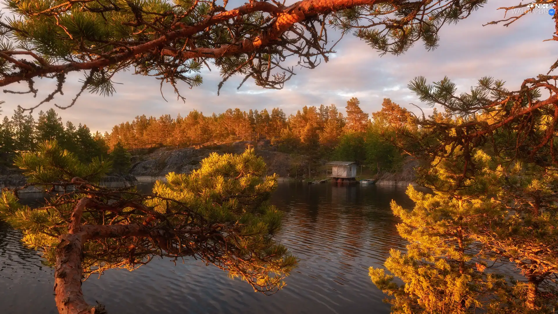 viewes, Lake Ladoga, clouds, Russia, autumn, trees