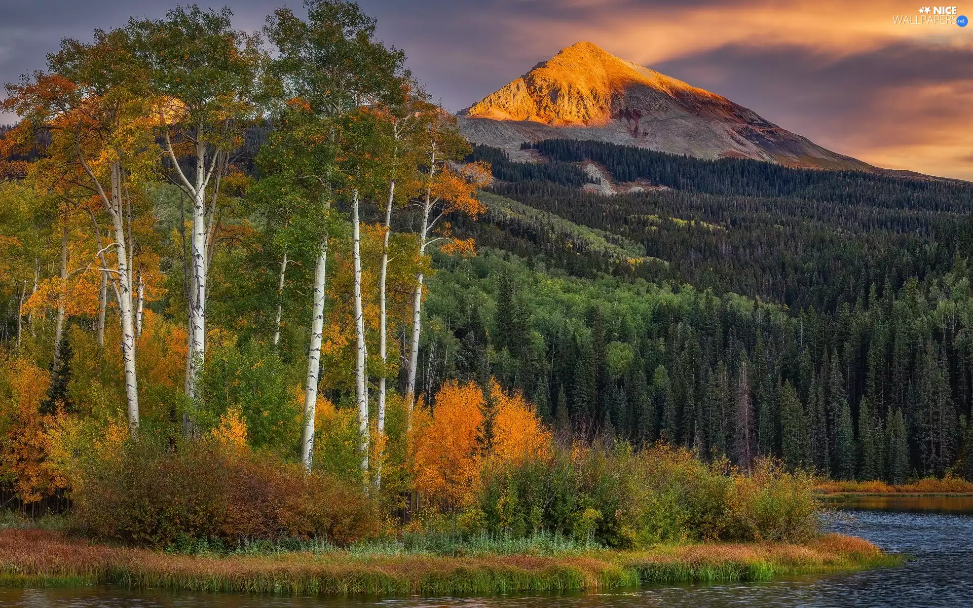 viewes, forest, lake, trees, Mountains, Quaking Aspen, clouds