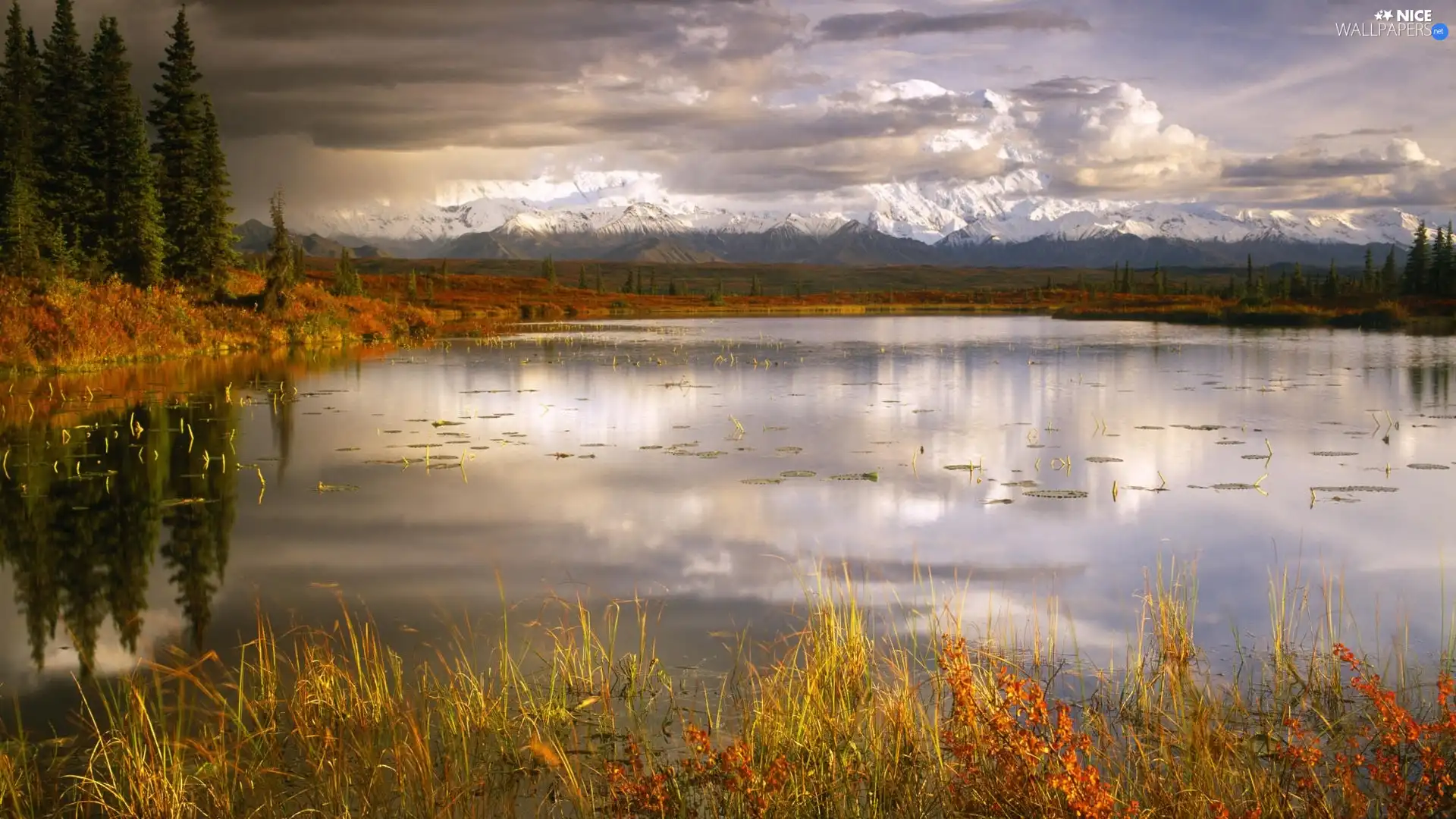 clouds, grass, lake