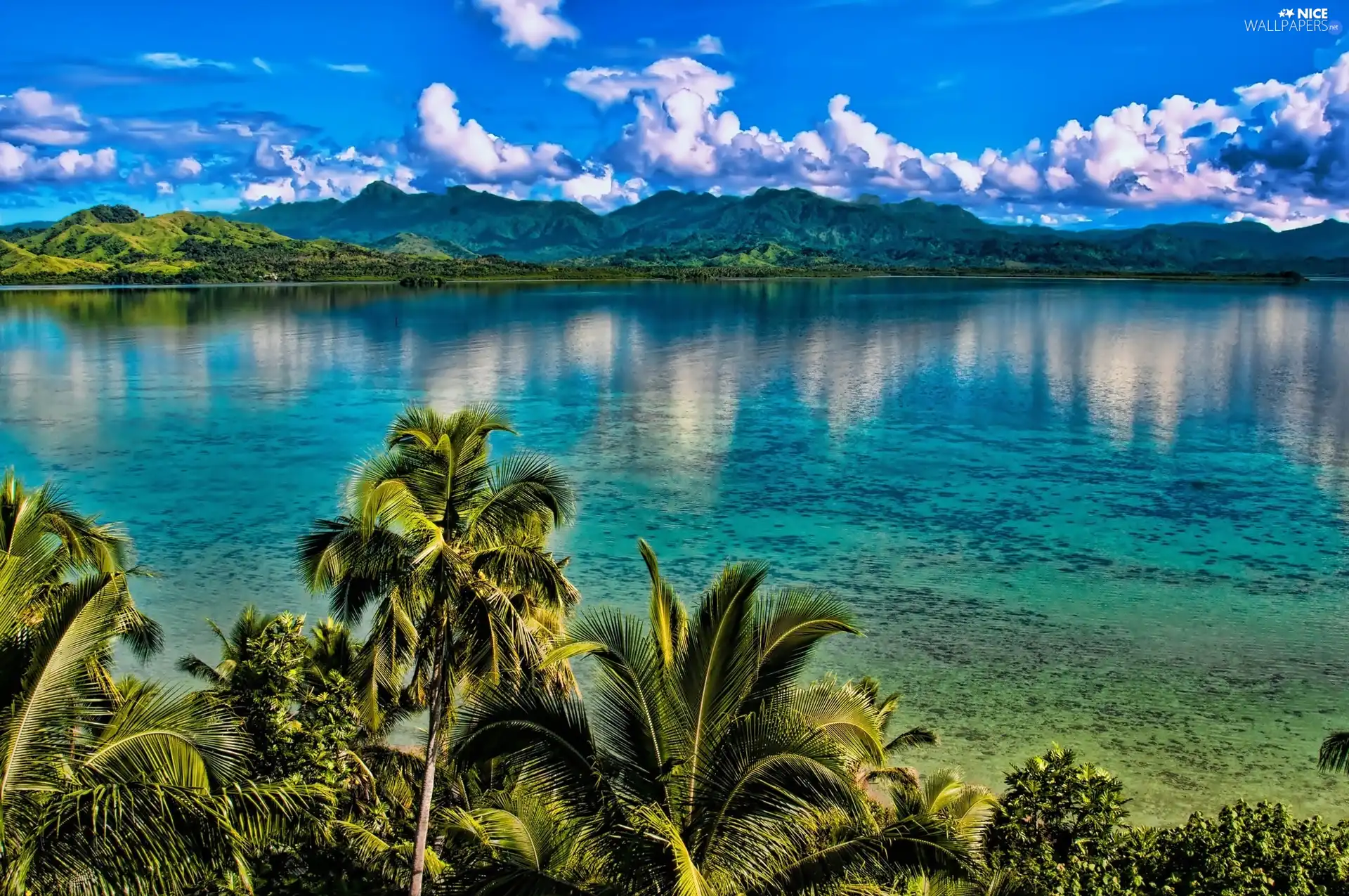 lake, Palms, clouds, Mountains