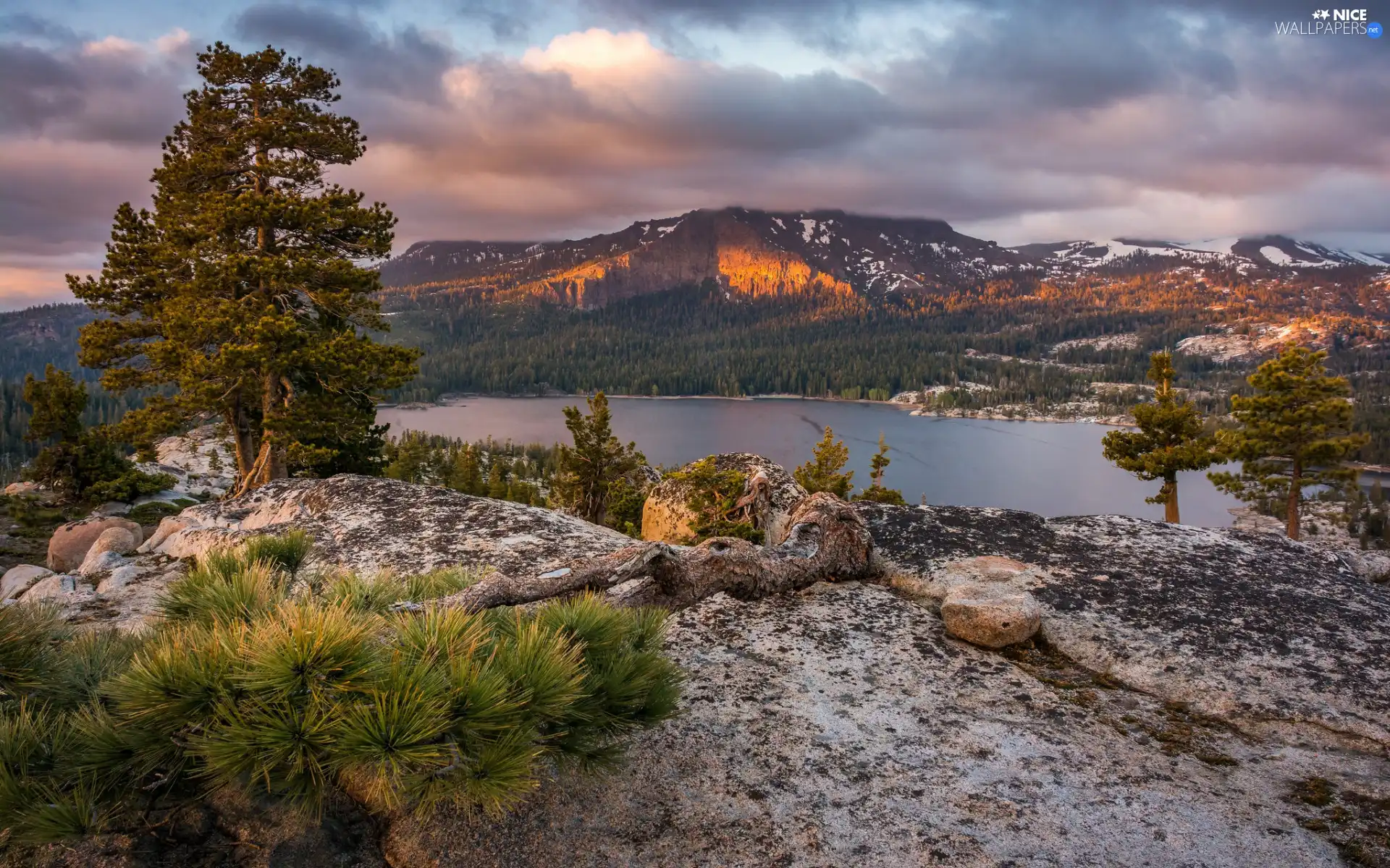 viewes, pine, lake, Stones, woods, trees, Mountains, clouds