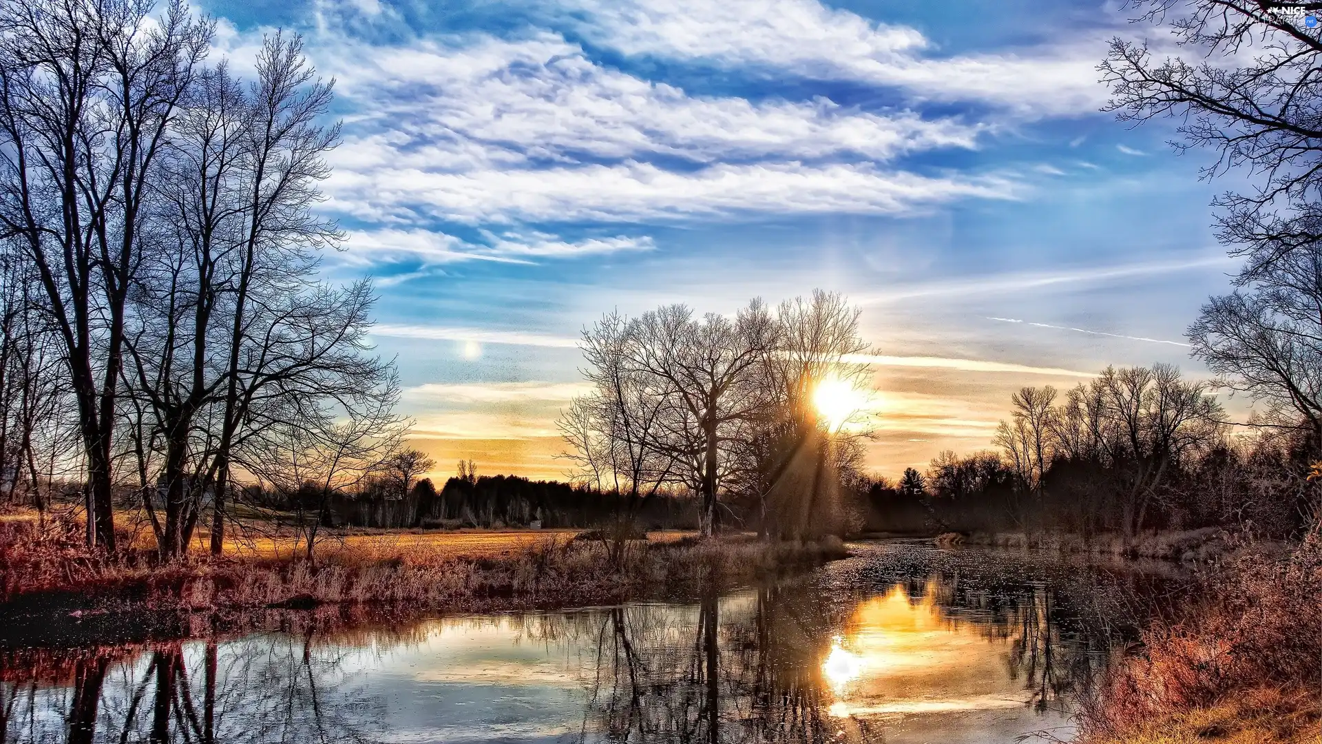 trees, viewes, lake, clouds, rays of the Sun