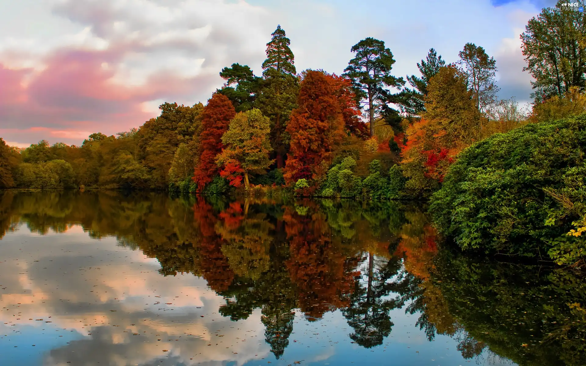 lake, viewes, clouds, trees