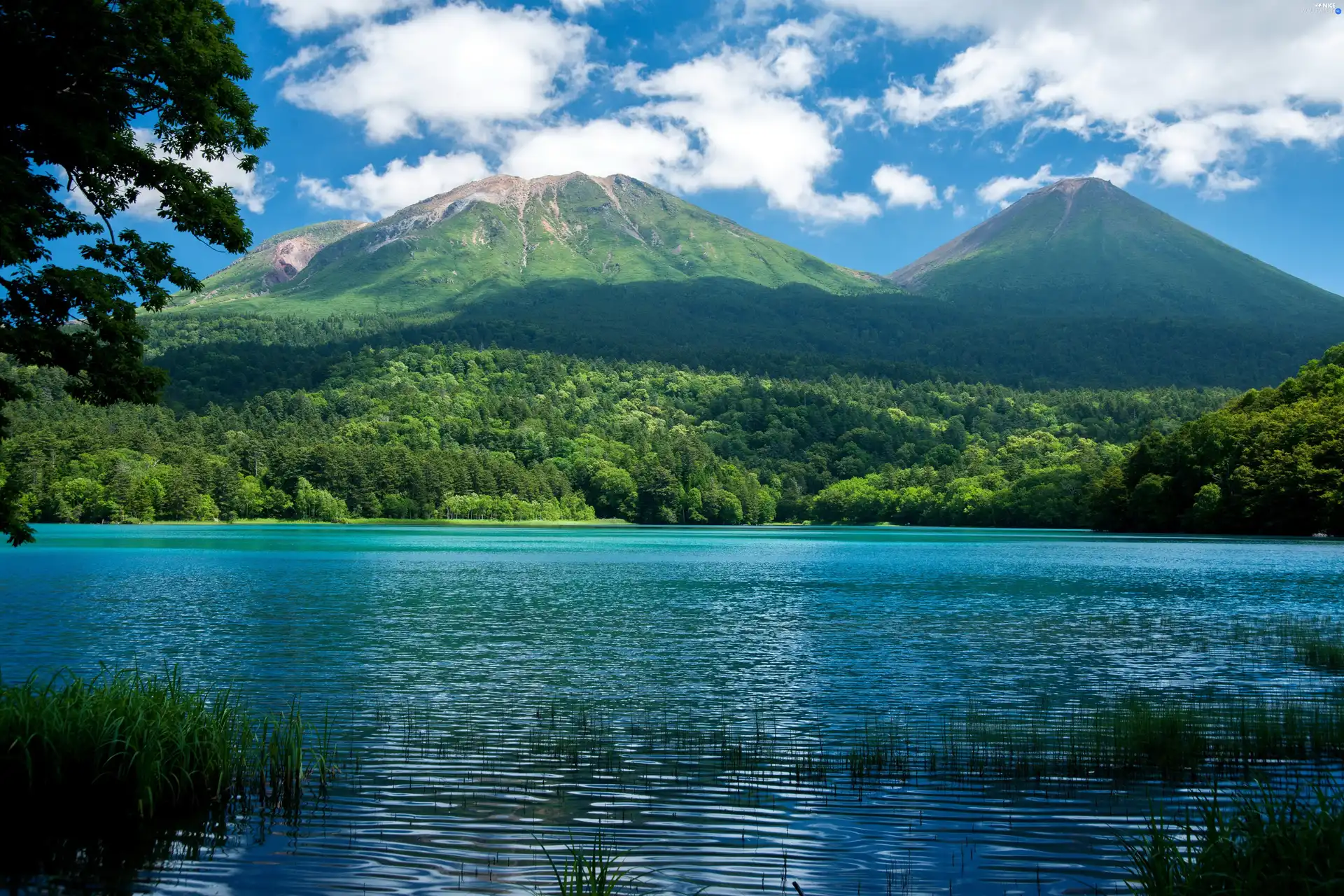 lake, woods, clouds, Mountains