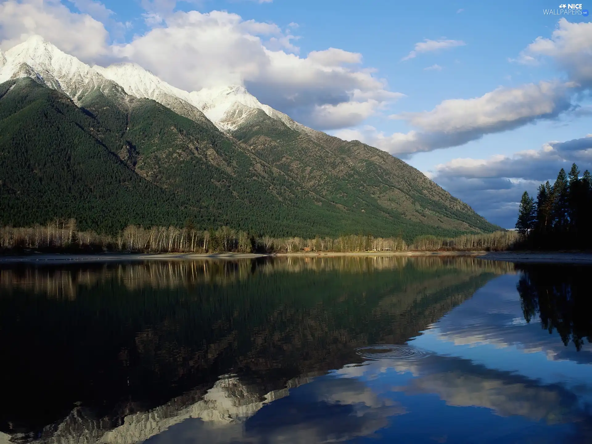 lake, woods, clouds, Mountains