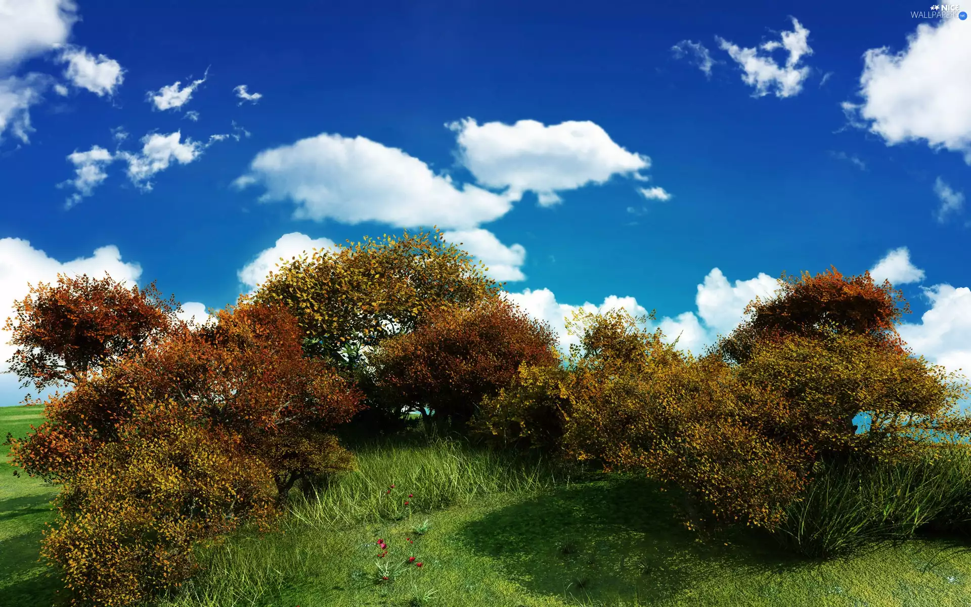 clouds, Bush, Meadow