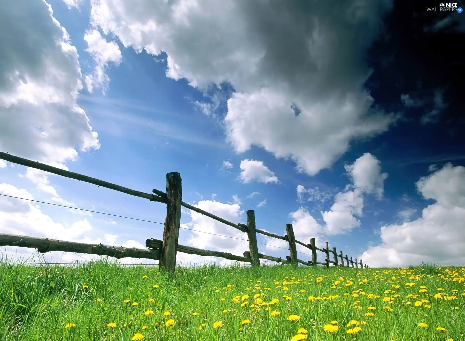 Meadow, Hurdle, clouds, Flowers