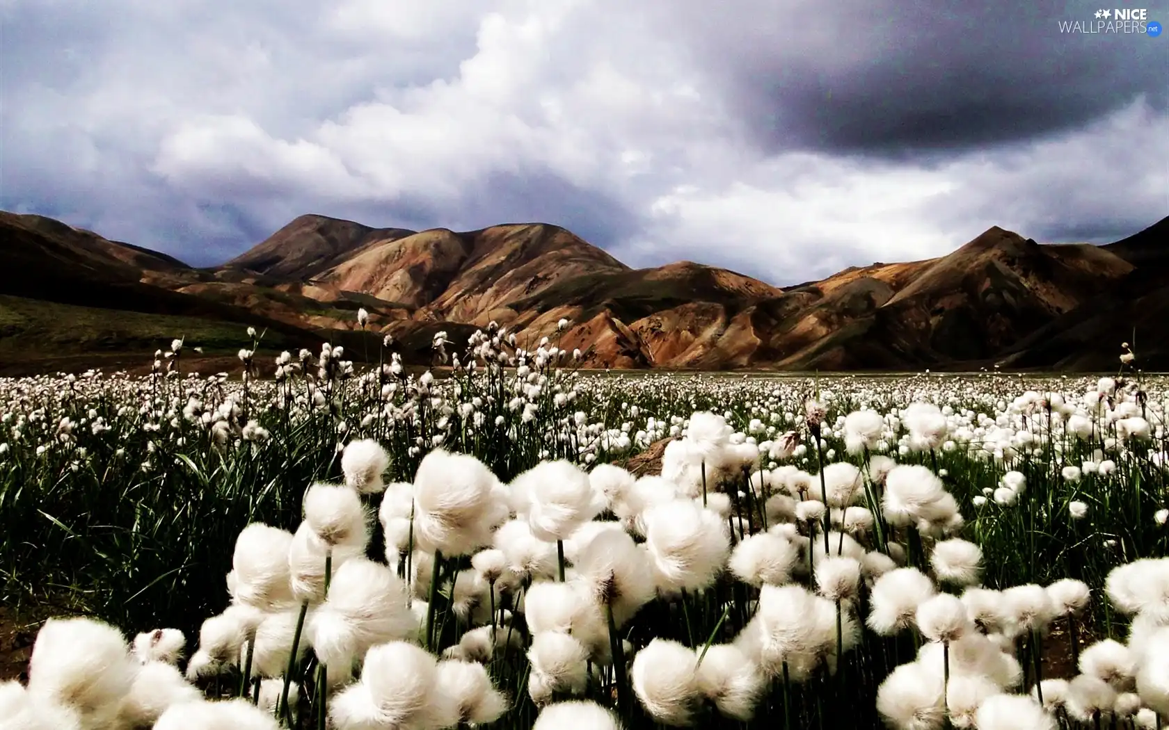 clouds, Mountains, Meadow