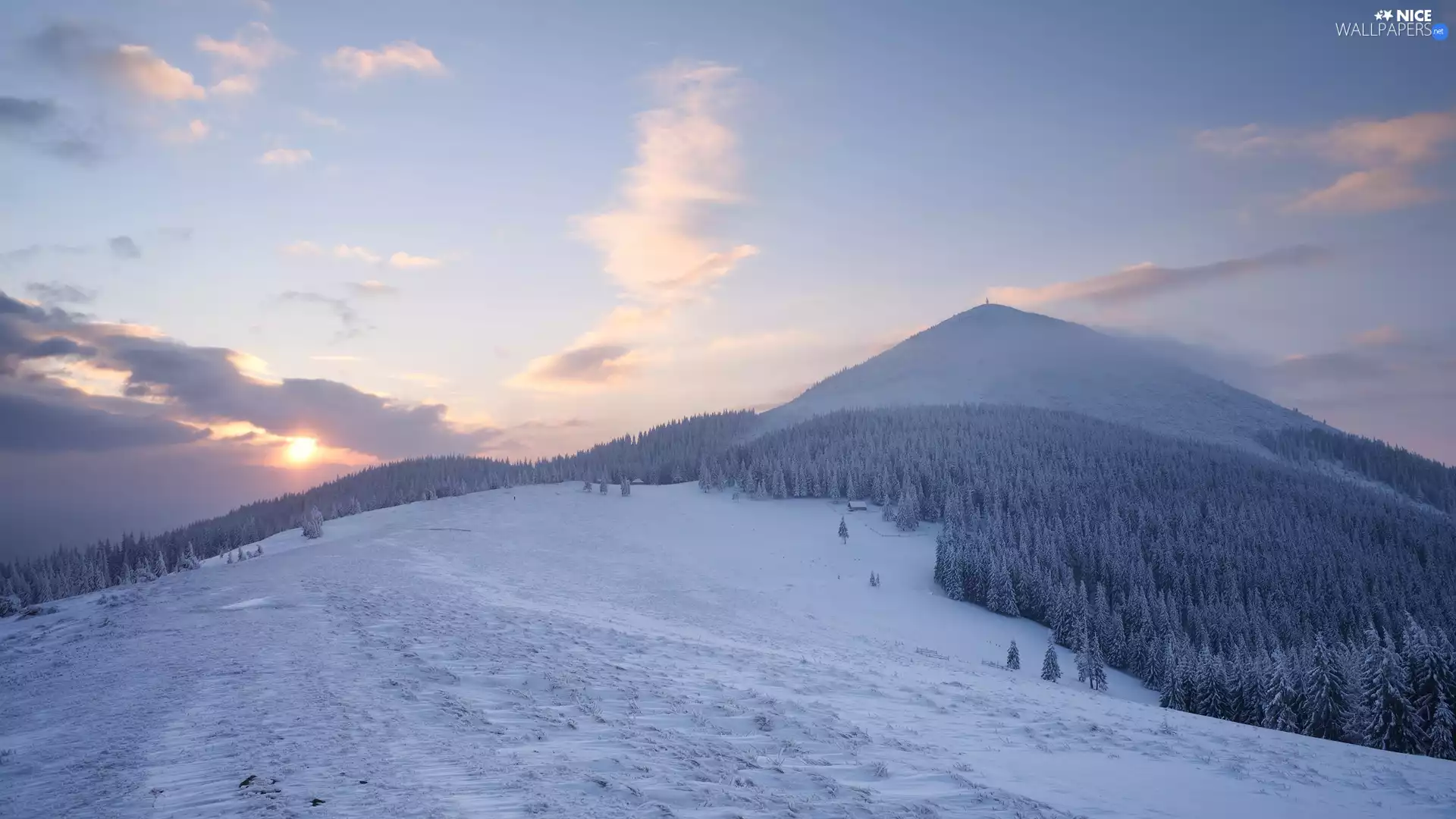 forest, Carpathian Mountains, clouds, Ukraine, Sunrise, winter
