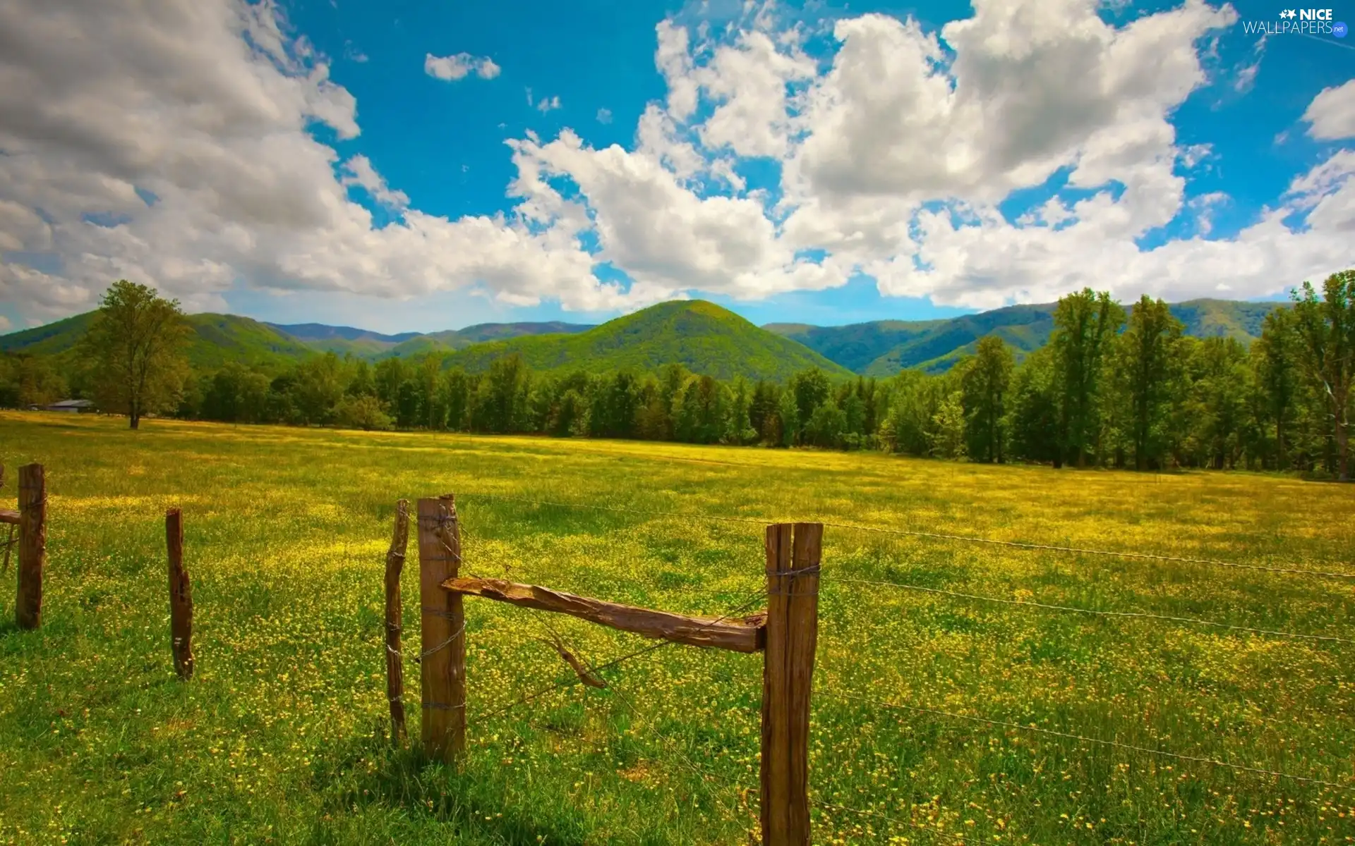 Mountains, medows, clouds, woods