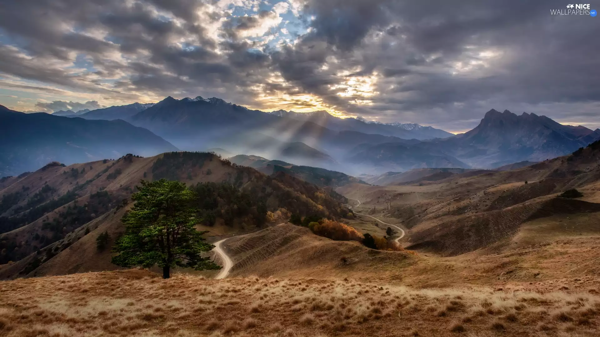 green ones, trees, clouds, Way, Mountains