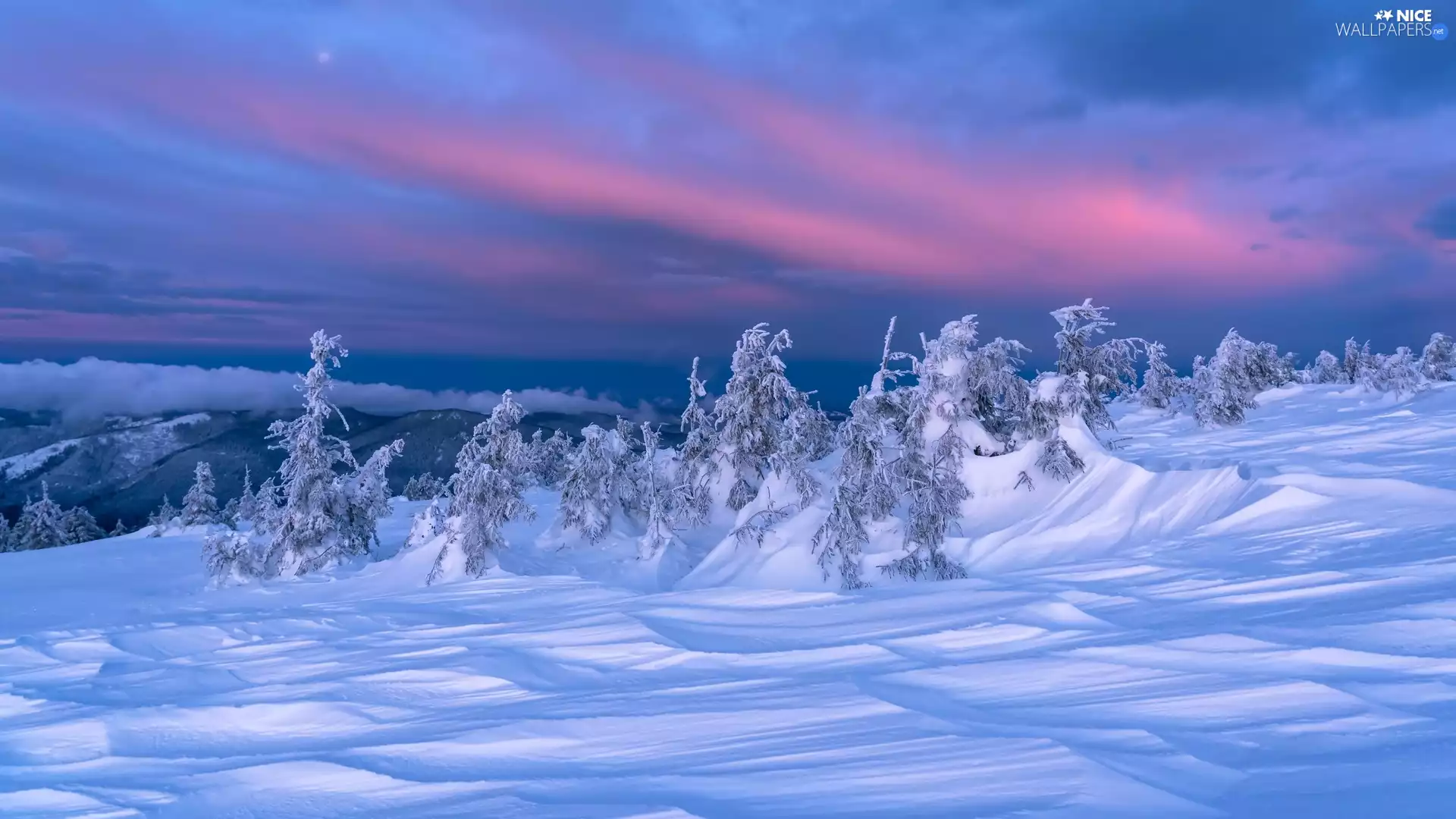 Snowy, winter, viewes, clouds, trees, Mountains