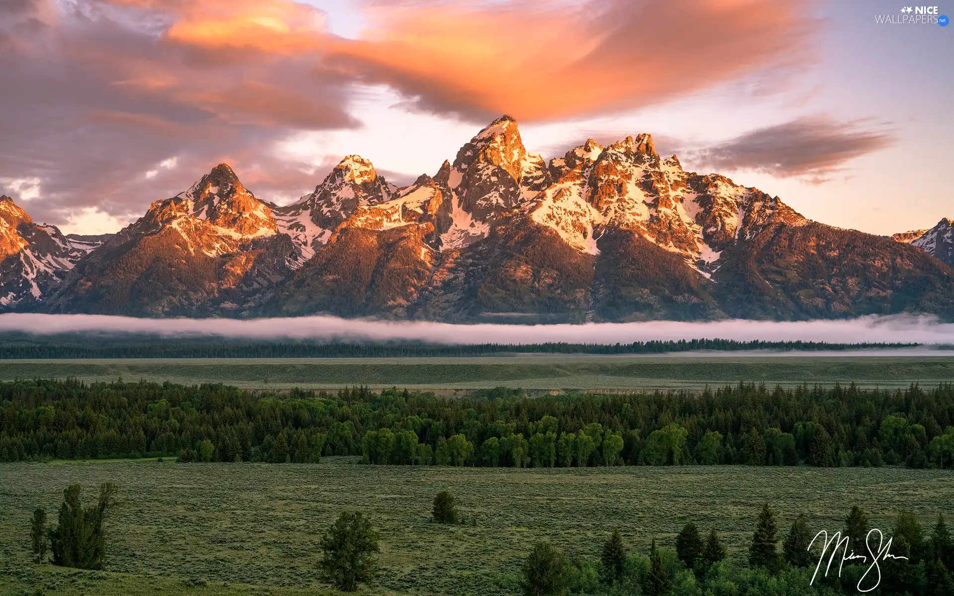 trees, viewes, The United States, Fog, State of Wyoming, Teton Range Mountains, Grand Teton National Park, clouds