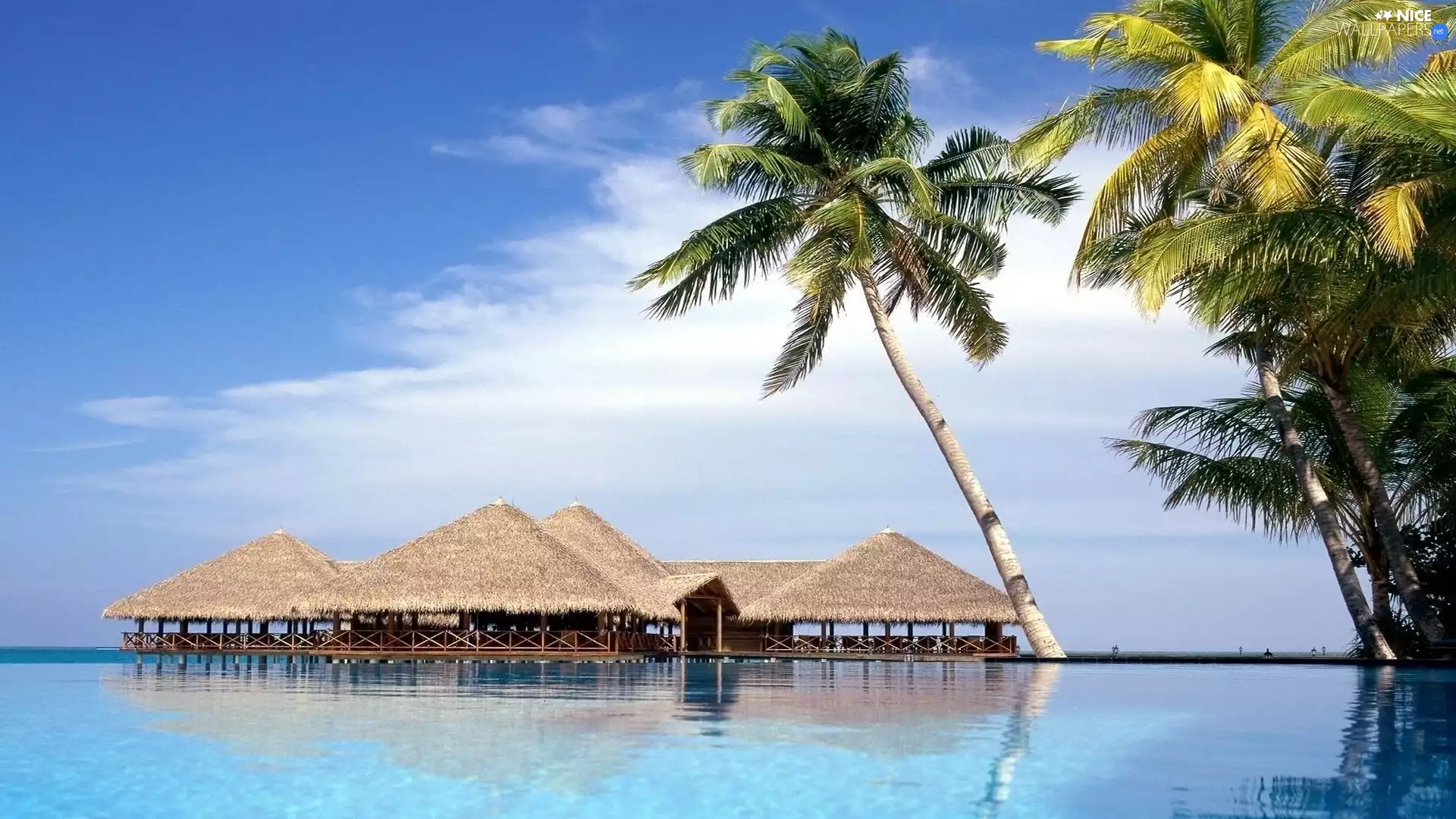 Palms, sea, Houses, clouds