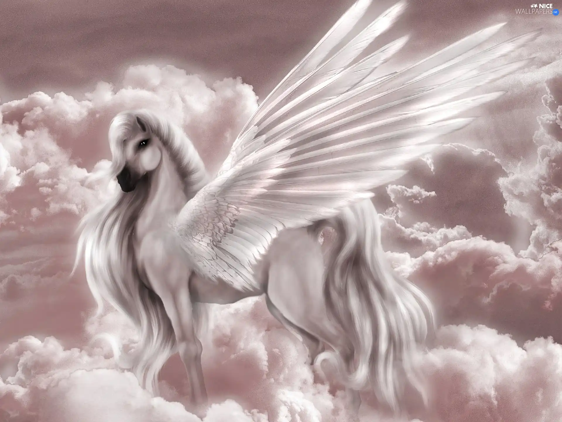 Pegasus, clouds