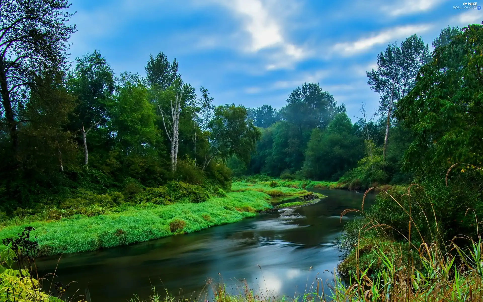 River, grass, clouds, forest