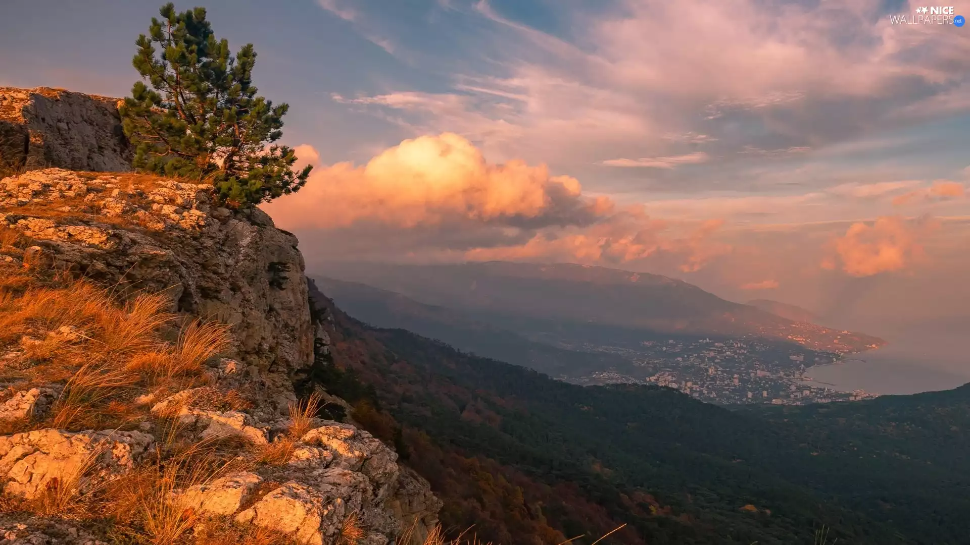 trees, Mountains, Cumulus, clouds, pine, rocks