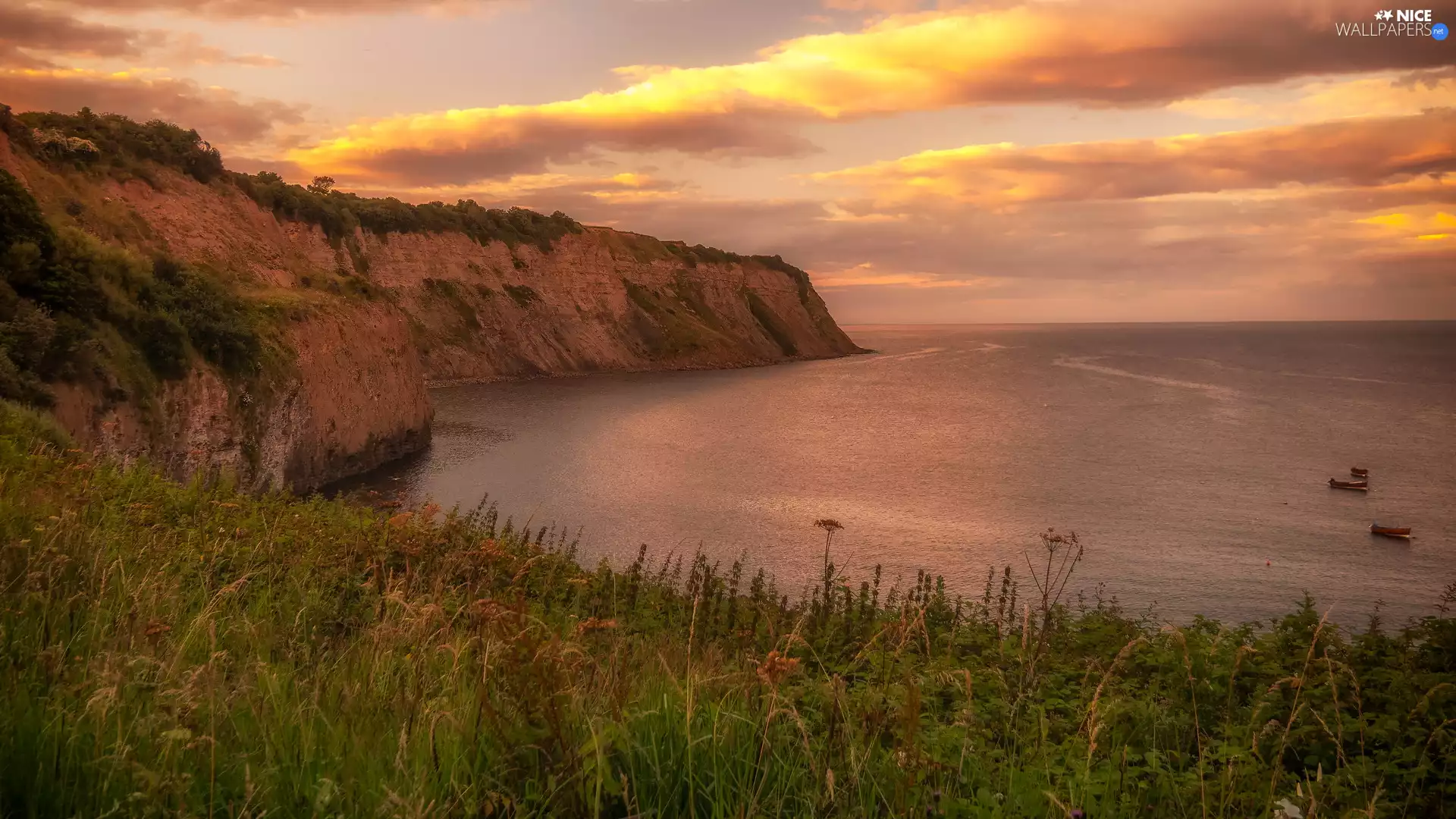 Meadow, clouds, rocks, cliff, sea
