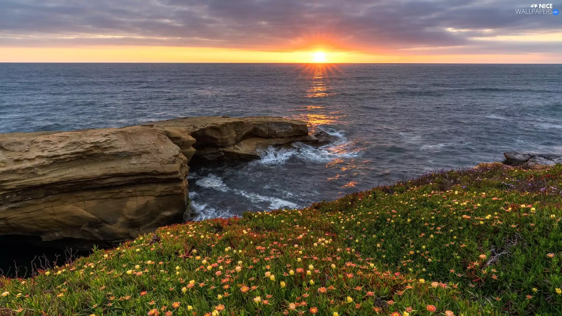 Sunrise, clouds, rocks, Flowers, sea